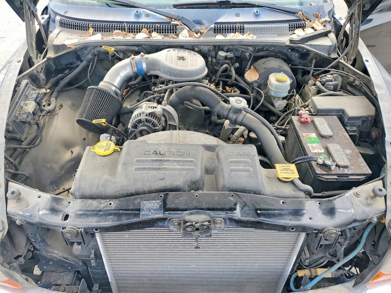 2000 Dodge Dakota Black vin: 1B7GG22X8YS584549