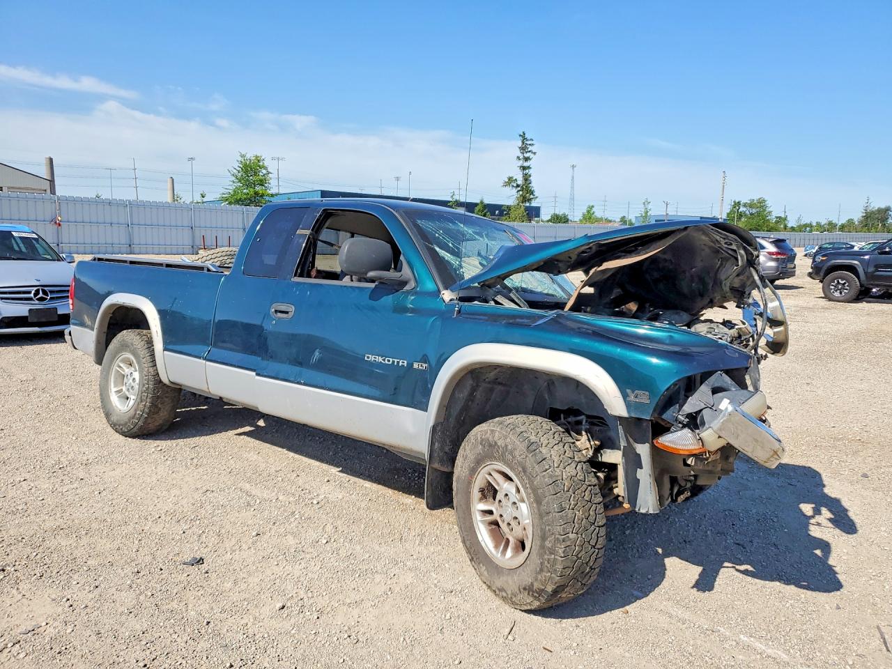 1998 Dodge Dakota Green vin: 1B7GG22Y8WS634730
