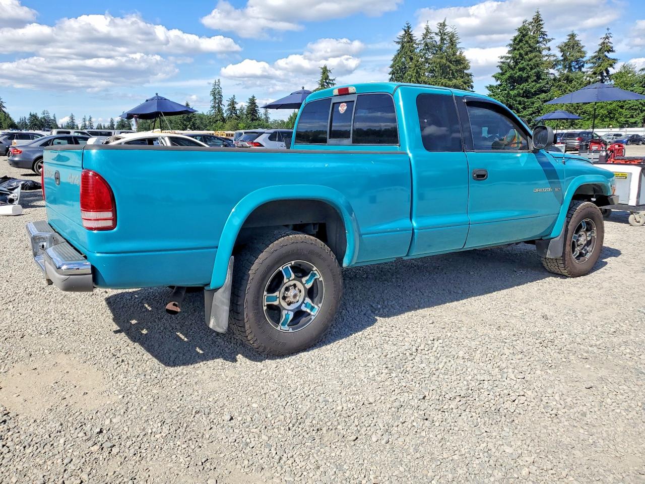 1998 Dodge Dakota Turquoise vin: 1B7GG22Y8WS658056
