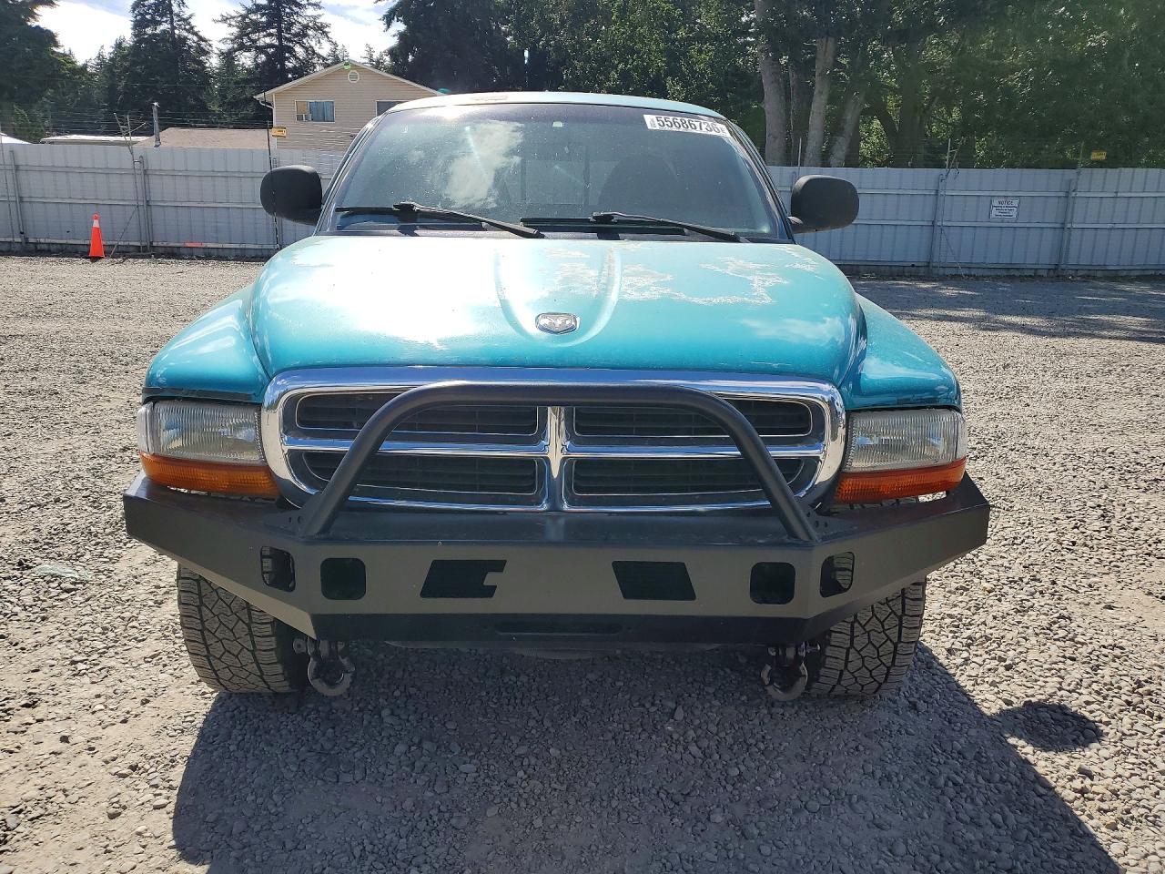 1998 Dodge Dakota Turquoise vin: 1B7GG22Y8WS658056