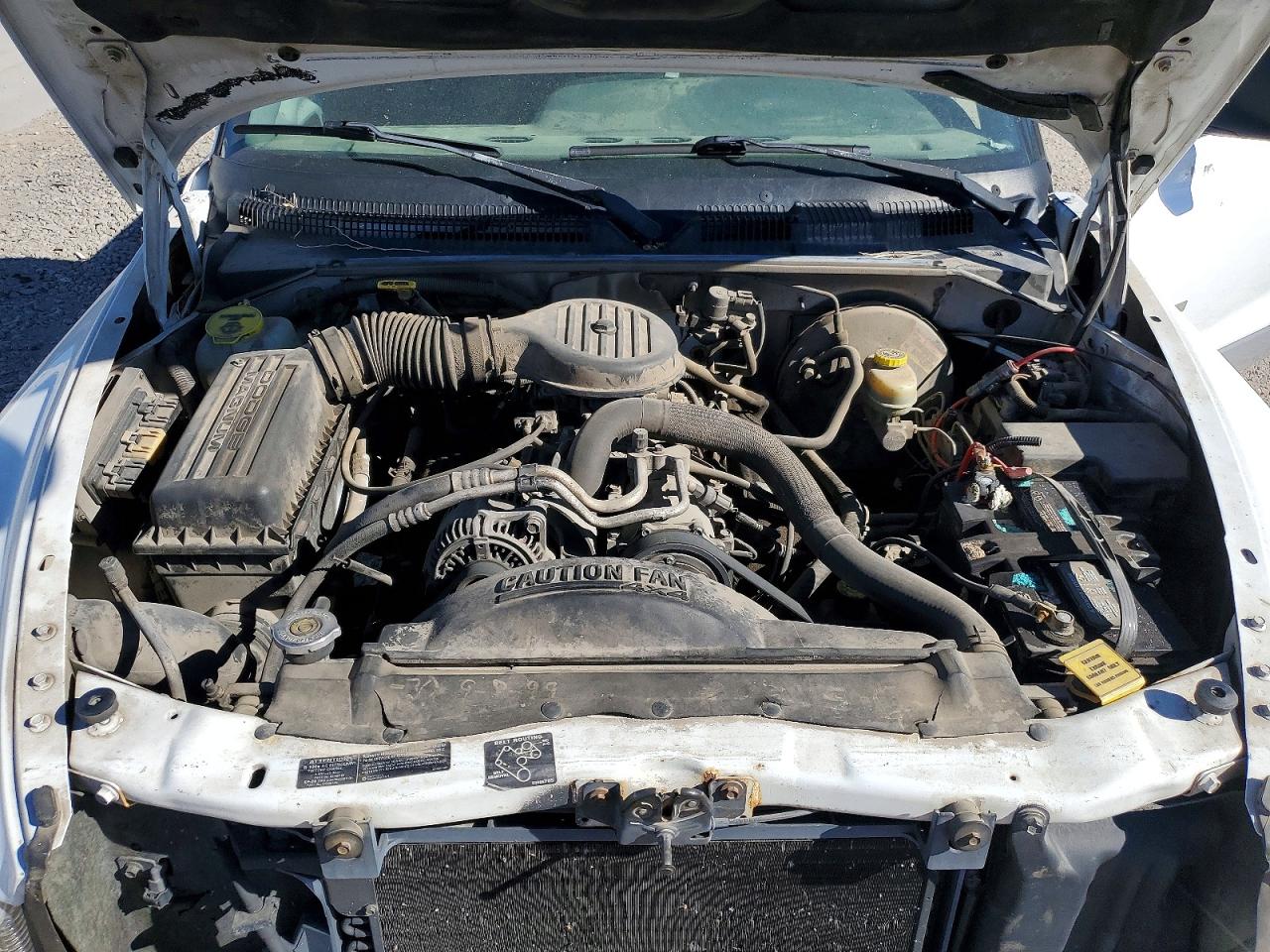 1998 Dodge Dakota White vin: 1B7GG22YXWS744095