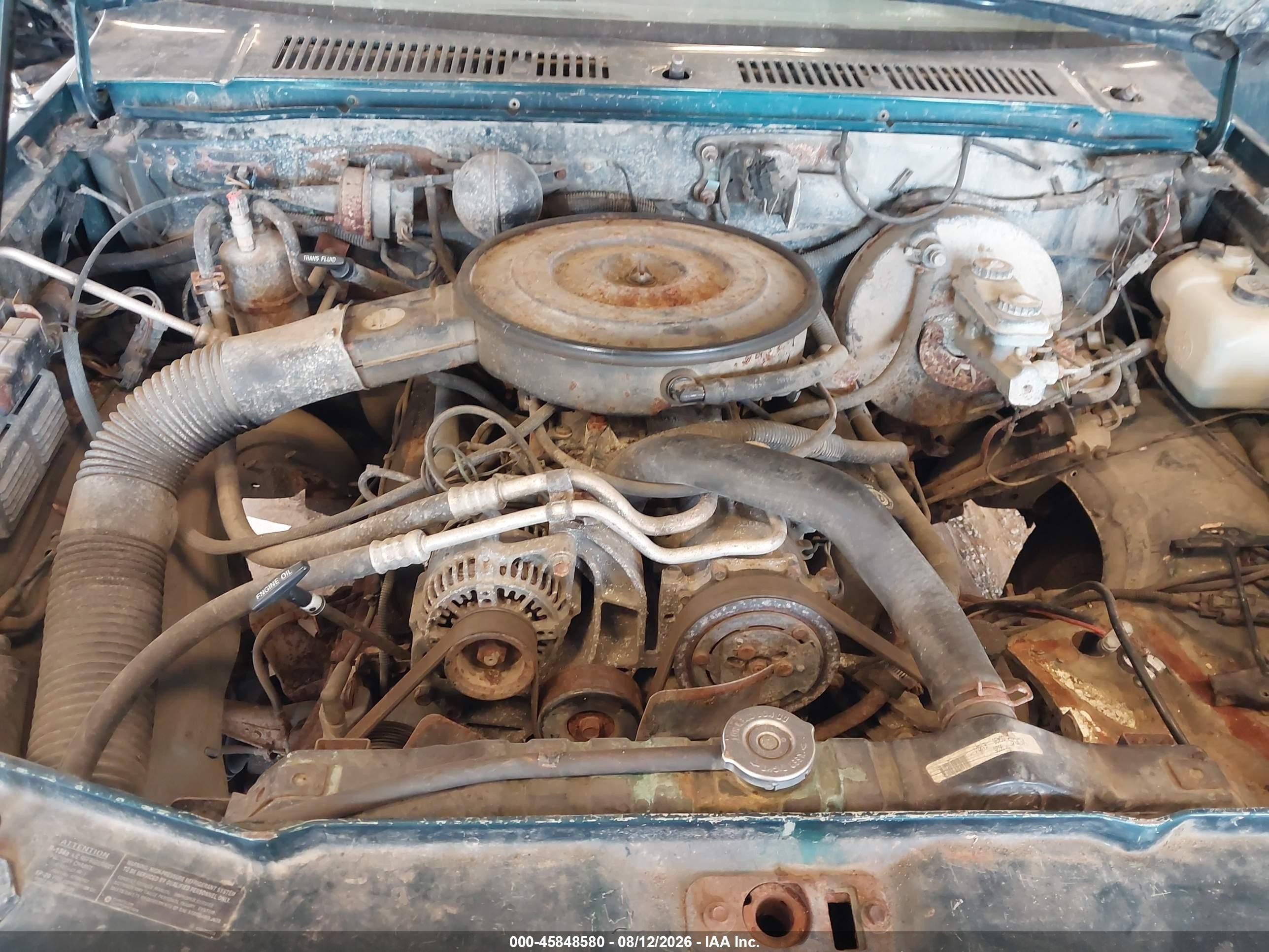 1995 Dodge Dakota Green vin: 1B7GG23Y2SS210114