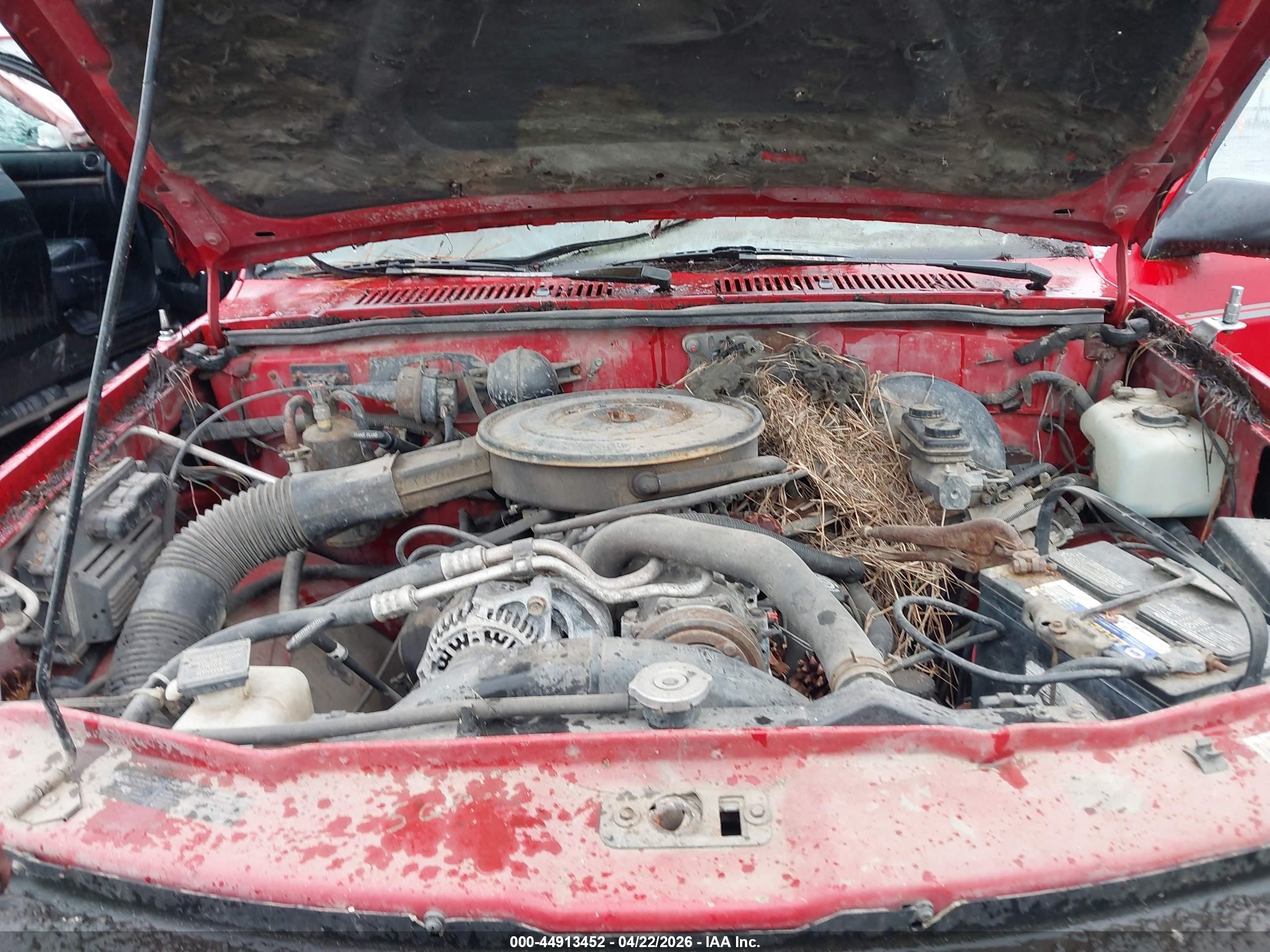 1995 Dodge Dakota   Red vin: 1B7GG23YXSS251042