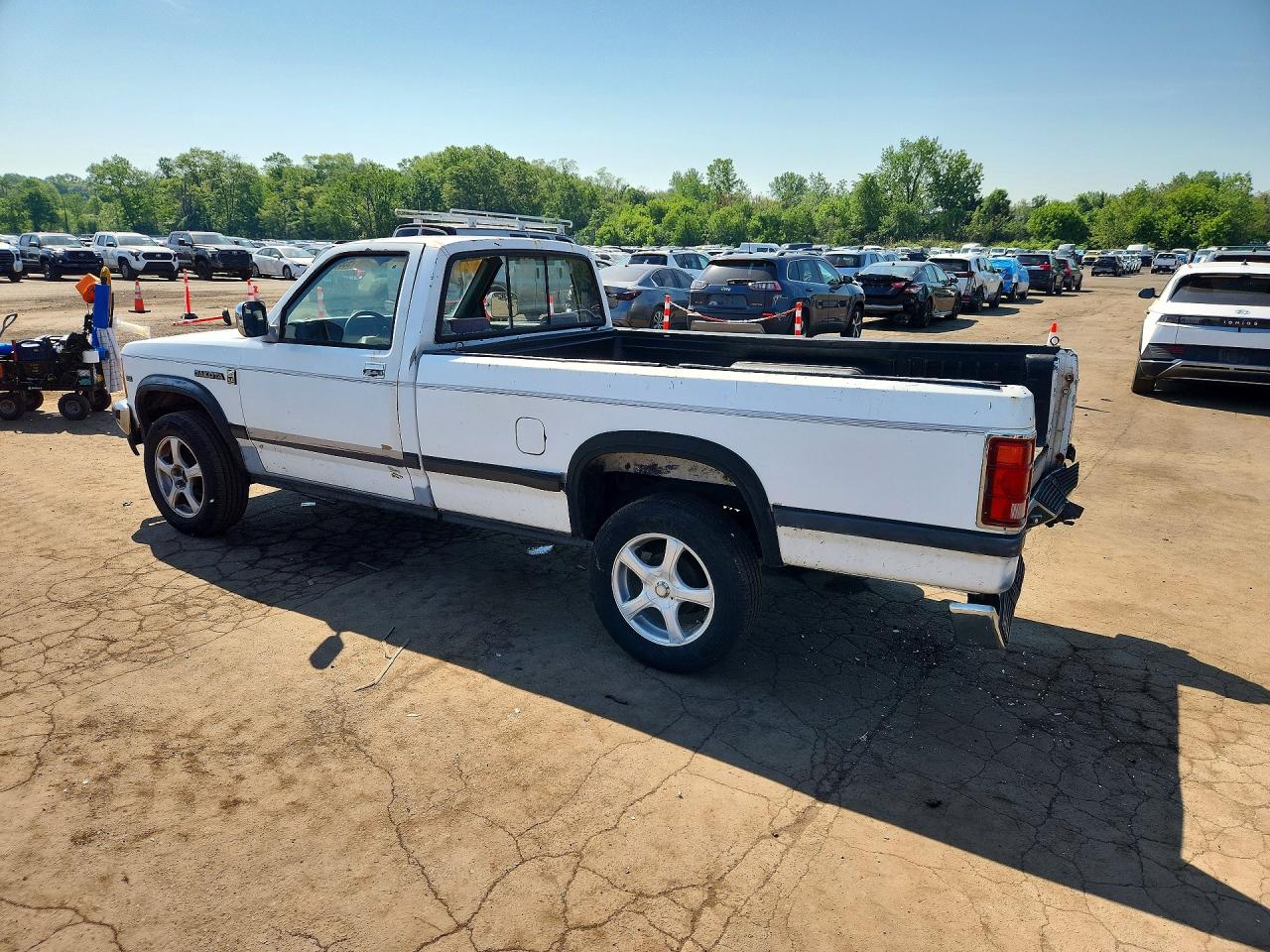 1989 Dodge Dakota Белый vin: 1B7GG26X8KS086725