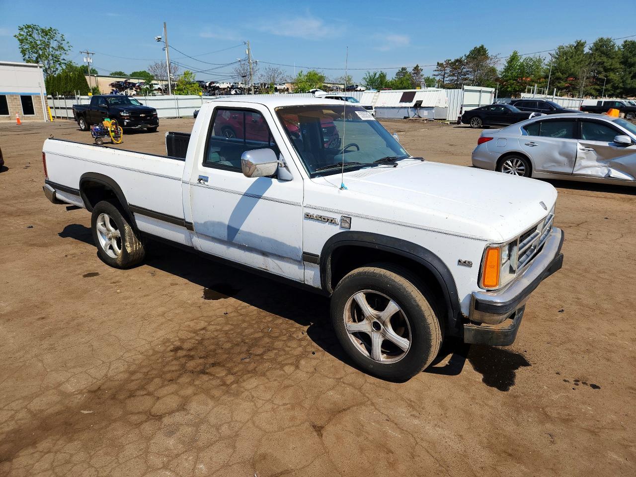 1989 Dodge Dakota Белый vin: 1B7GG26X8KS086725