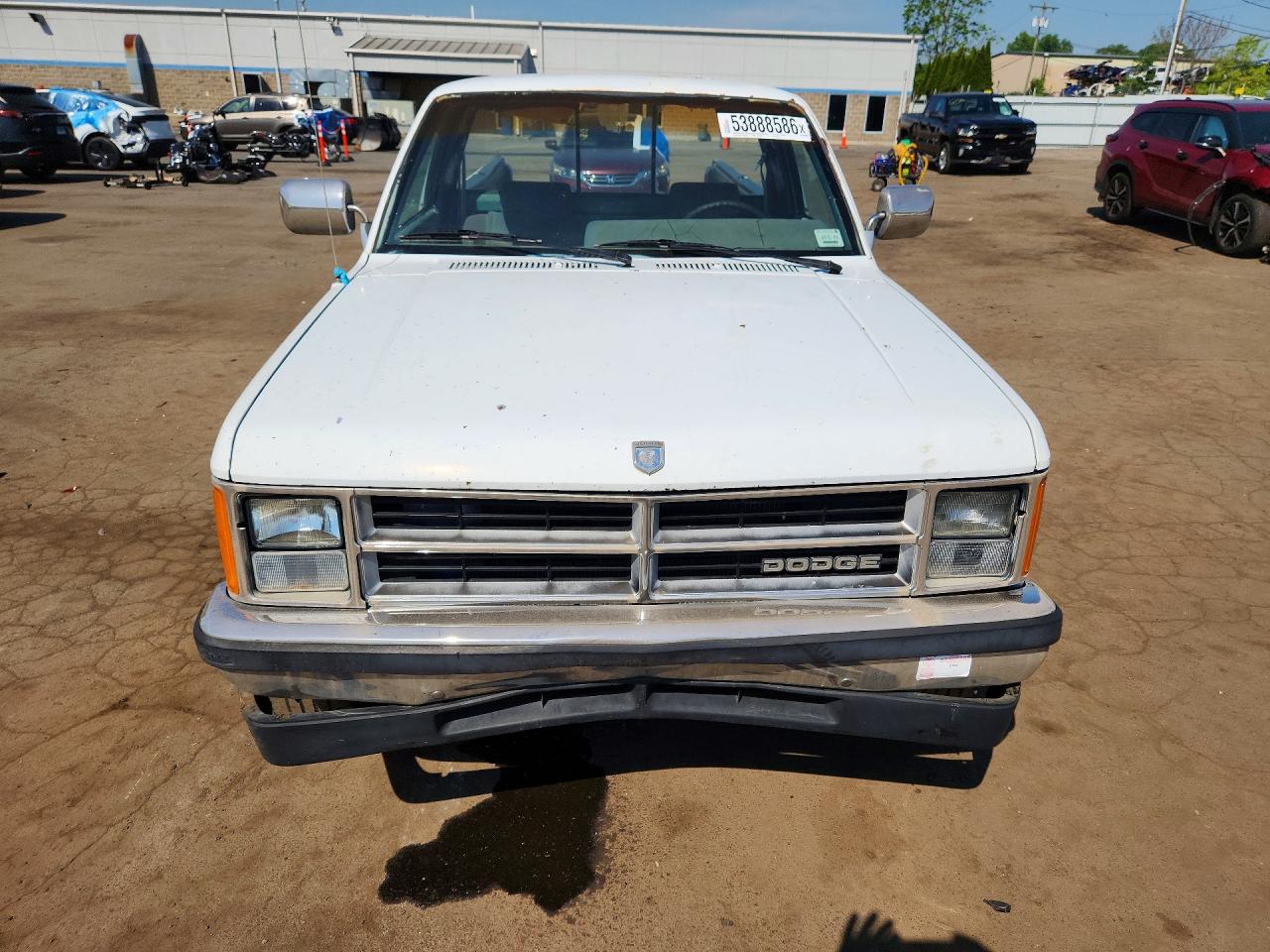 1989 Dodge Dakota Белый vin: 1B7GG26X8KS086725