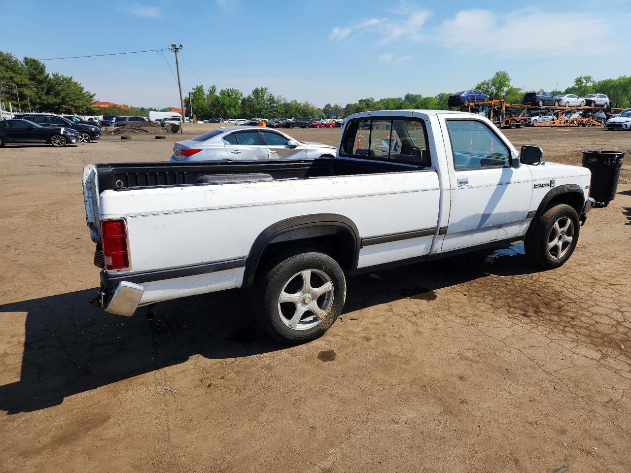 1989 Dodge Dakota Белый vin: 1B7GG26X8KS086725