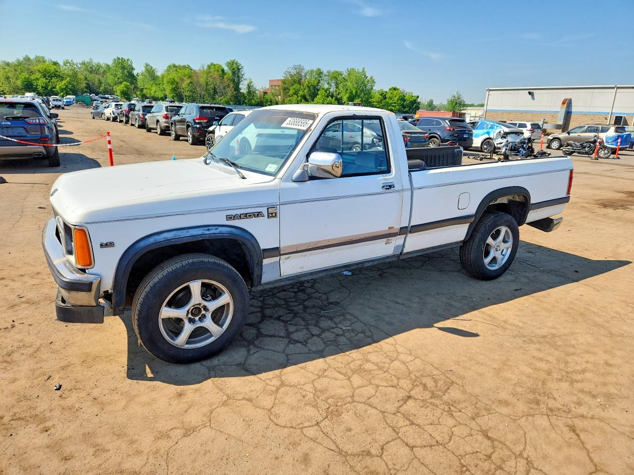 1989 Dodge Dakota Белый vin: 1B7GG26X8KS086725