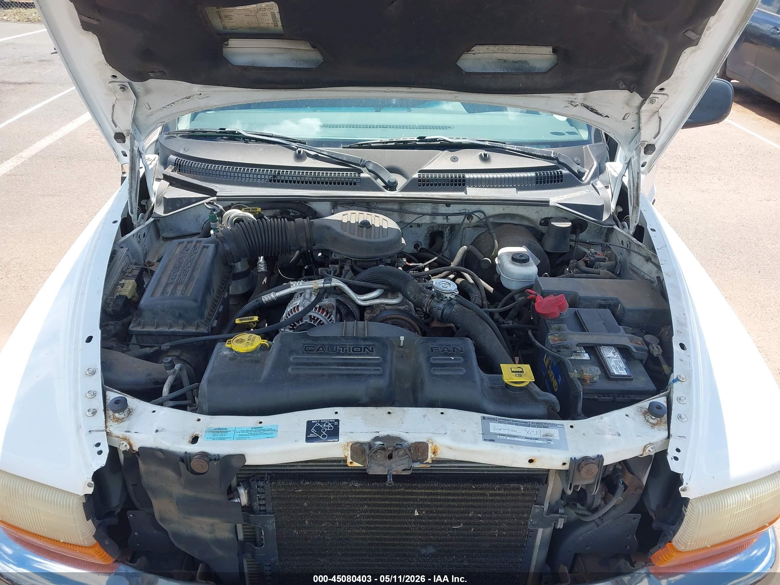 2001 Dodge Dakota Slt/sport White vin: 1B7GG2AX31S202788