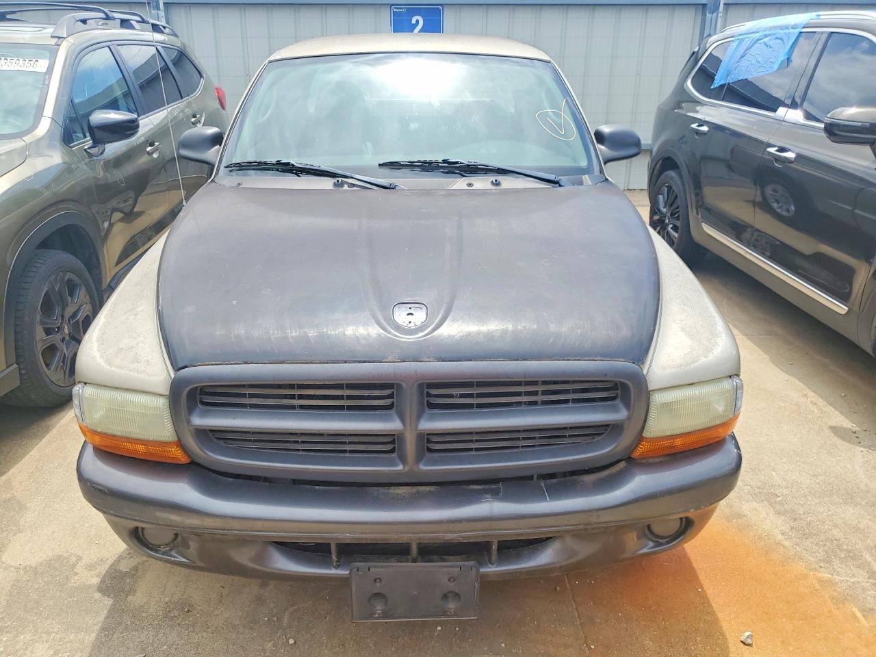 2002 Dodge Dakota Base Gold vin: 1B7GL12X02S718483