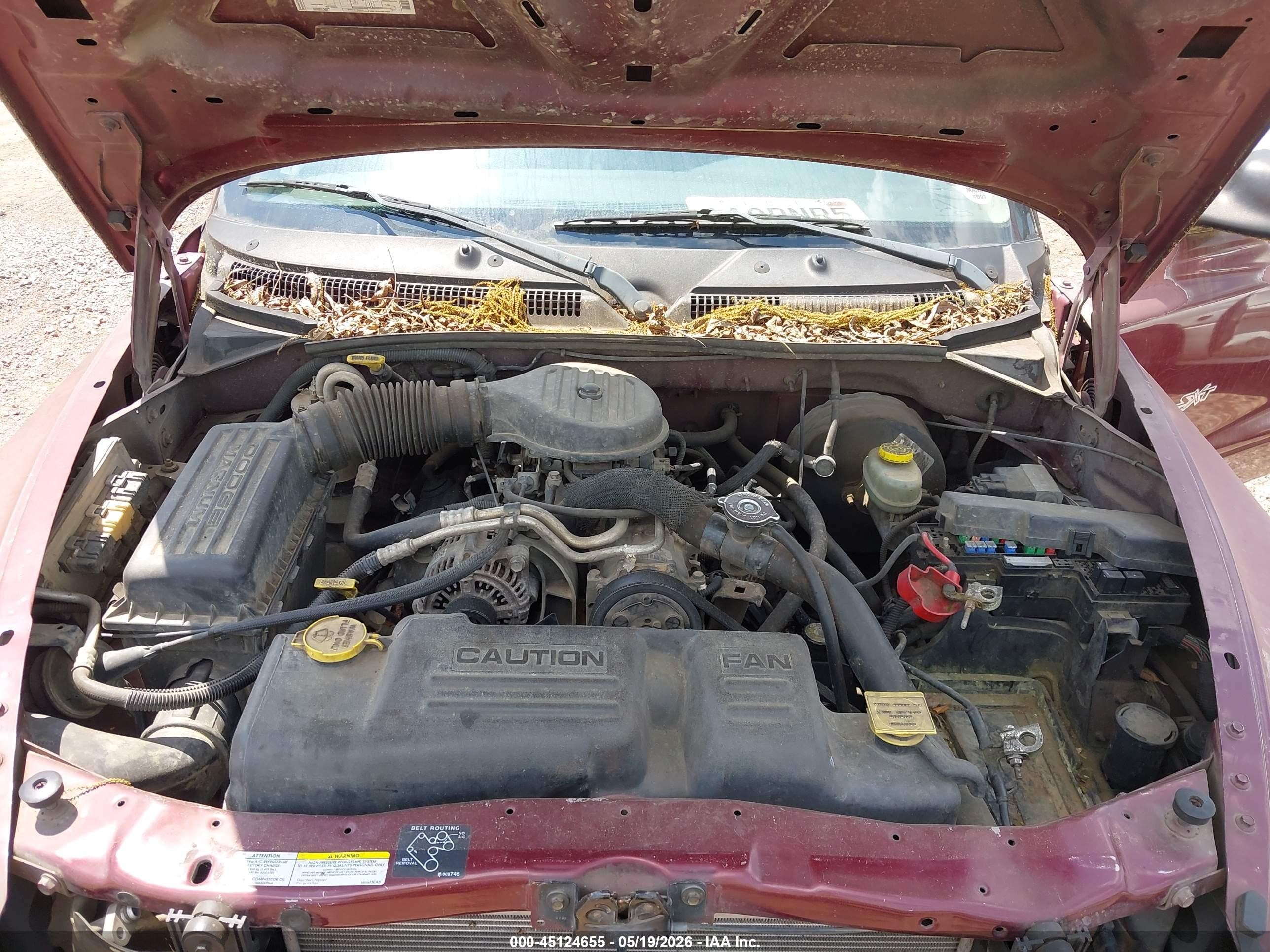 2002 Dodge Dakota   Бордовый vin: 1B7GL12X92S677061