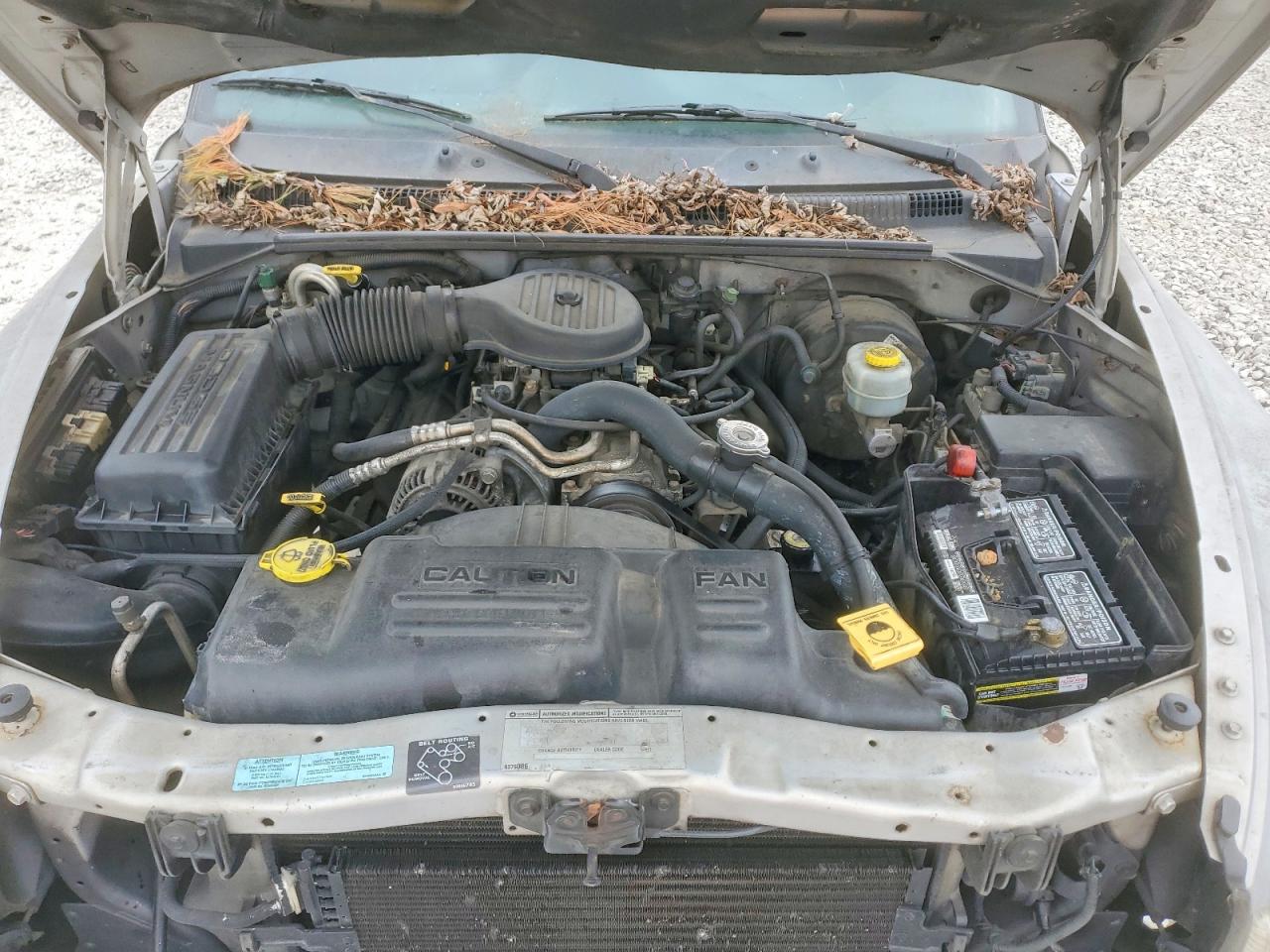 2000 Dodge Dakota Silver vin: 1B7GL22X4YS553407