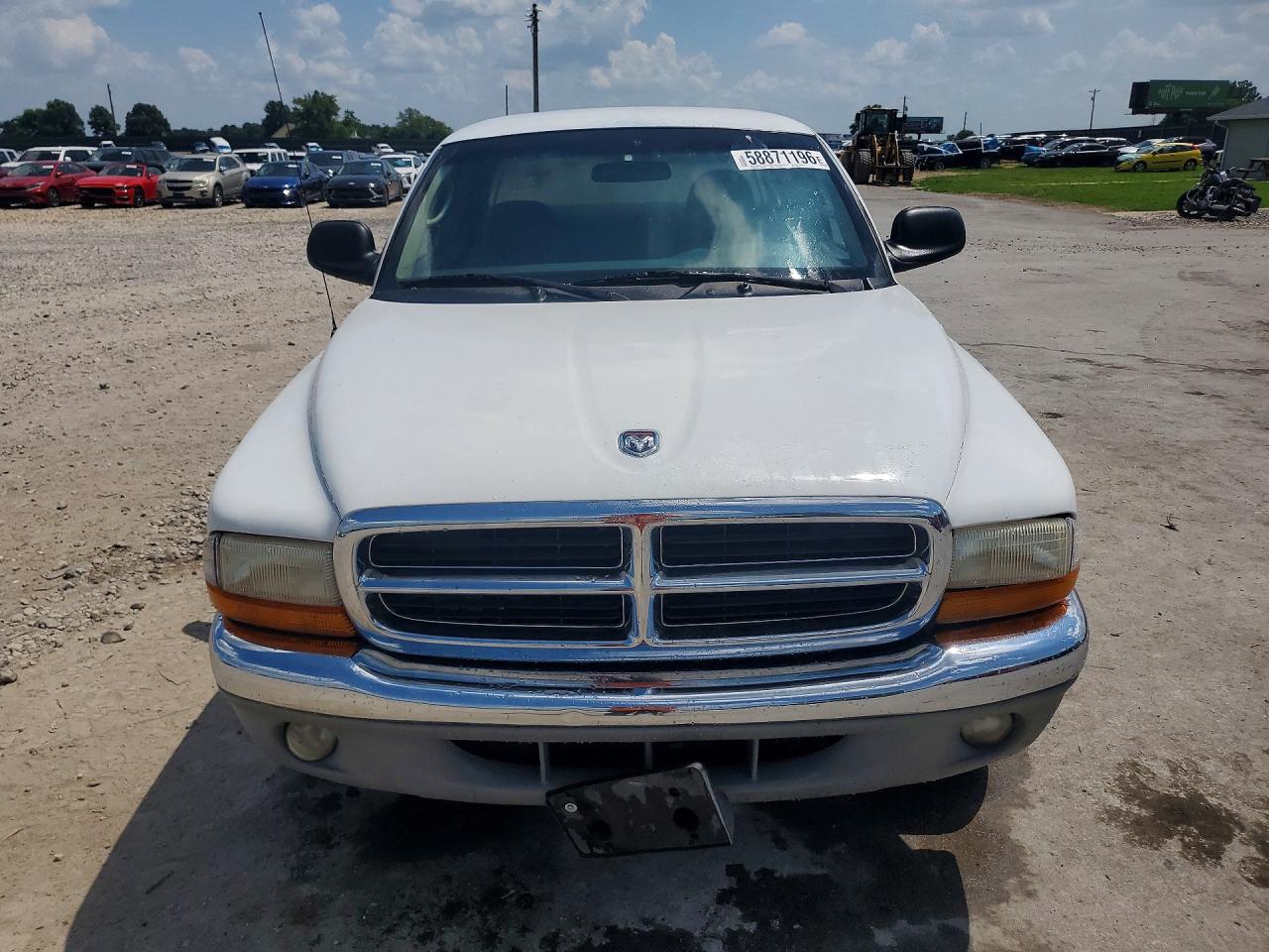 2001 Dodge Dakota White vin: 1B7GL22X51S172851