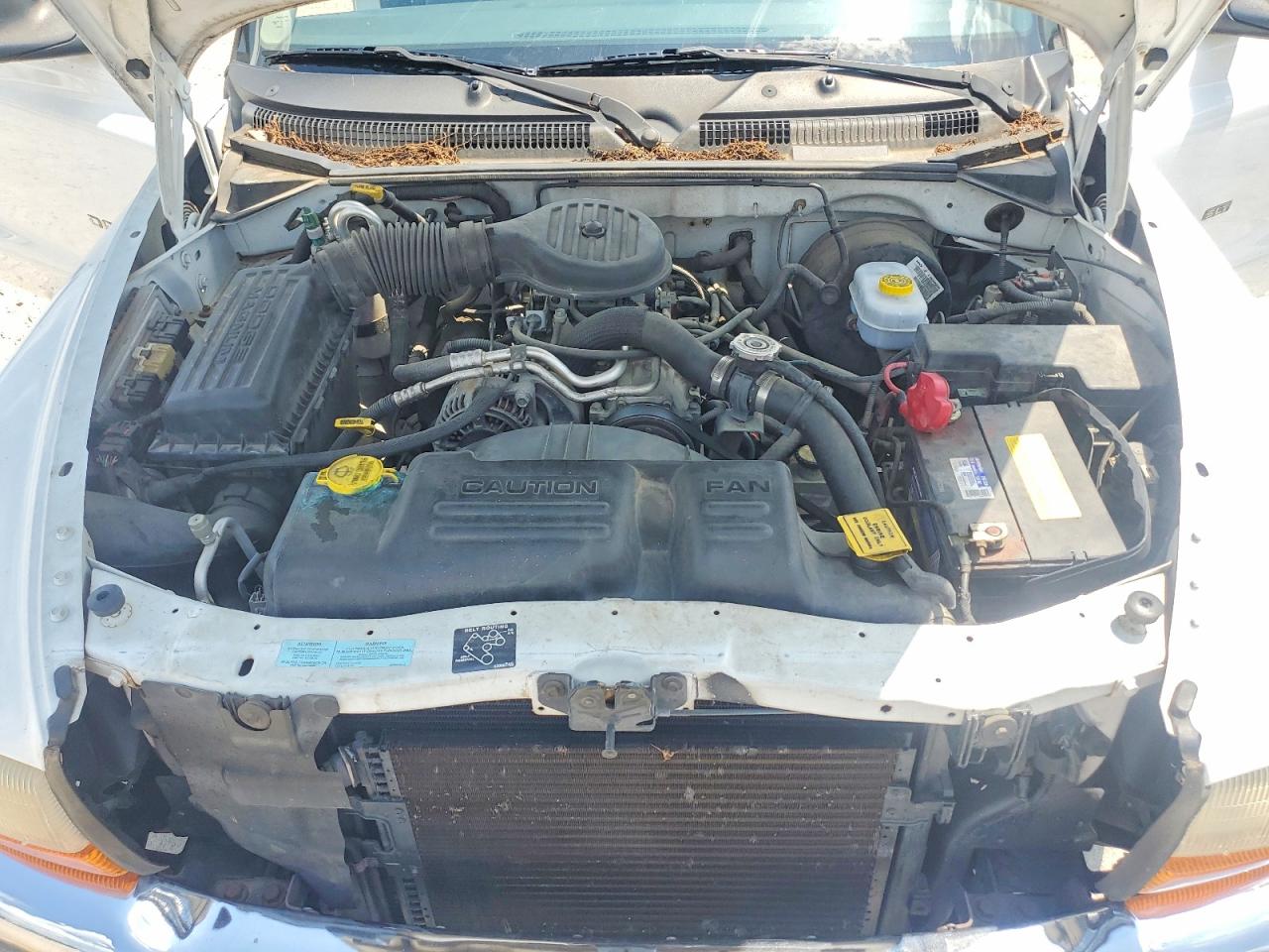 2001 Dodge Dakota White vin: 1B7GL22X51S172851