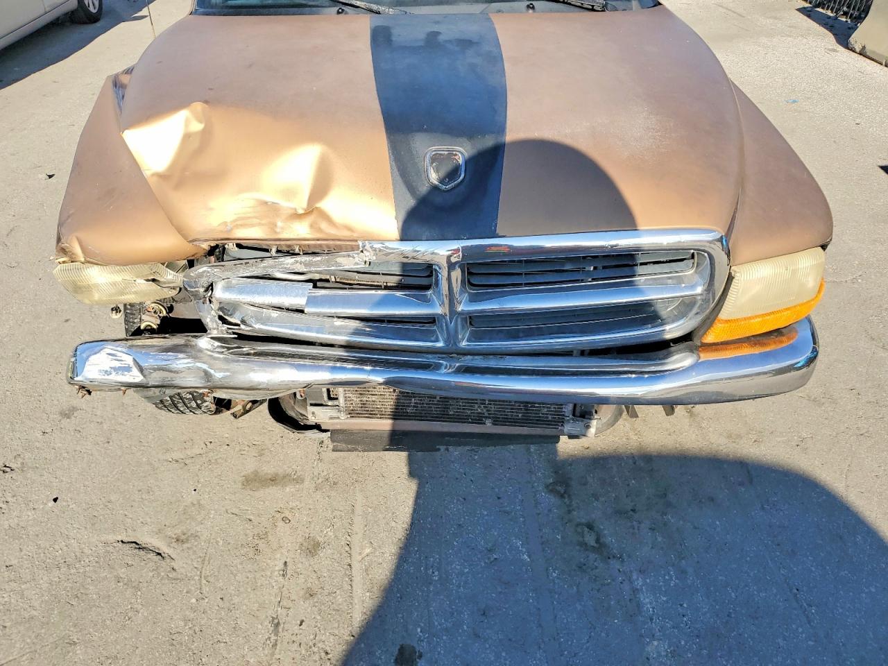2000 Dodge Dakota Gold vin: 1B7GL22X5YS674706