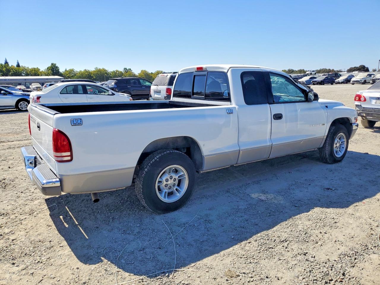 1999 Dodge Dakota Белый vin: 1B7GL22X9XS298025
