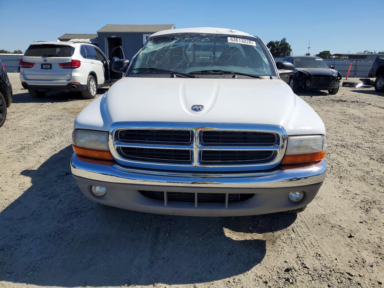 1999 Dodge Dakota Белый vin: 1B7GL22X9XS298025
