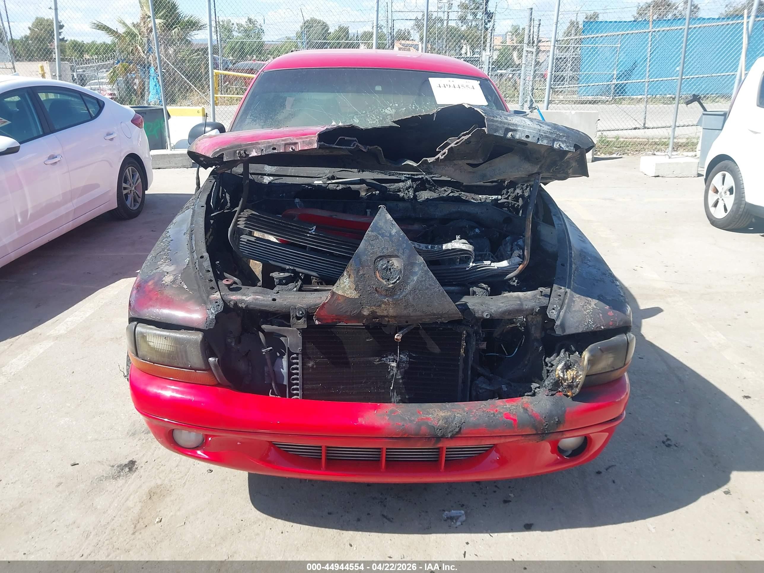 1999 Dodge Dakota Sport Красный vin: 1B7GL22Z5XS228376