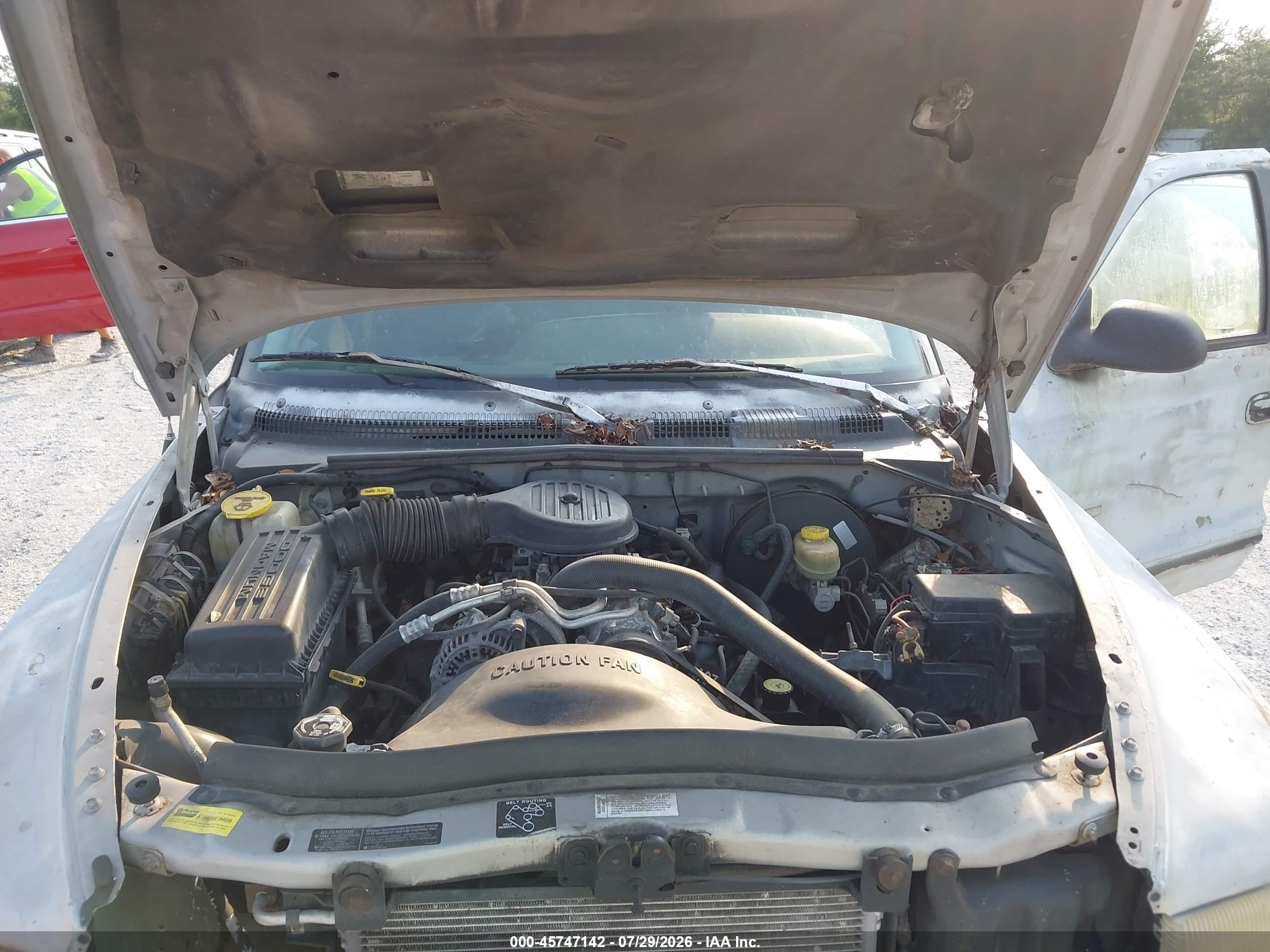 1997 Dodge Dakota Slt/sport White vin: 1B7GL23X2VS132201
