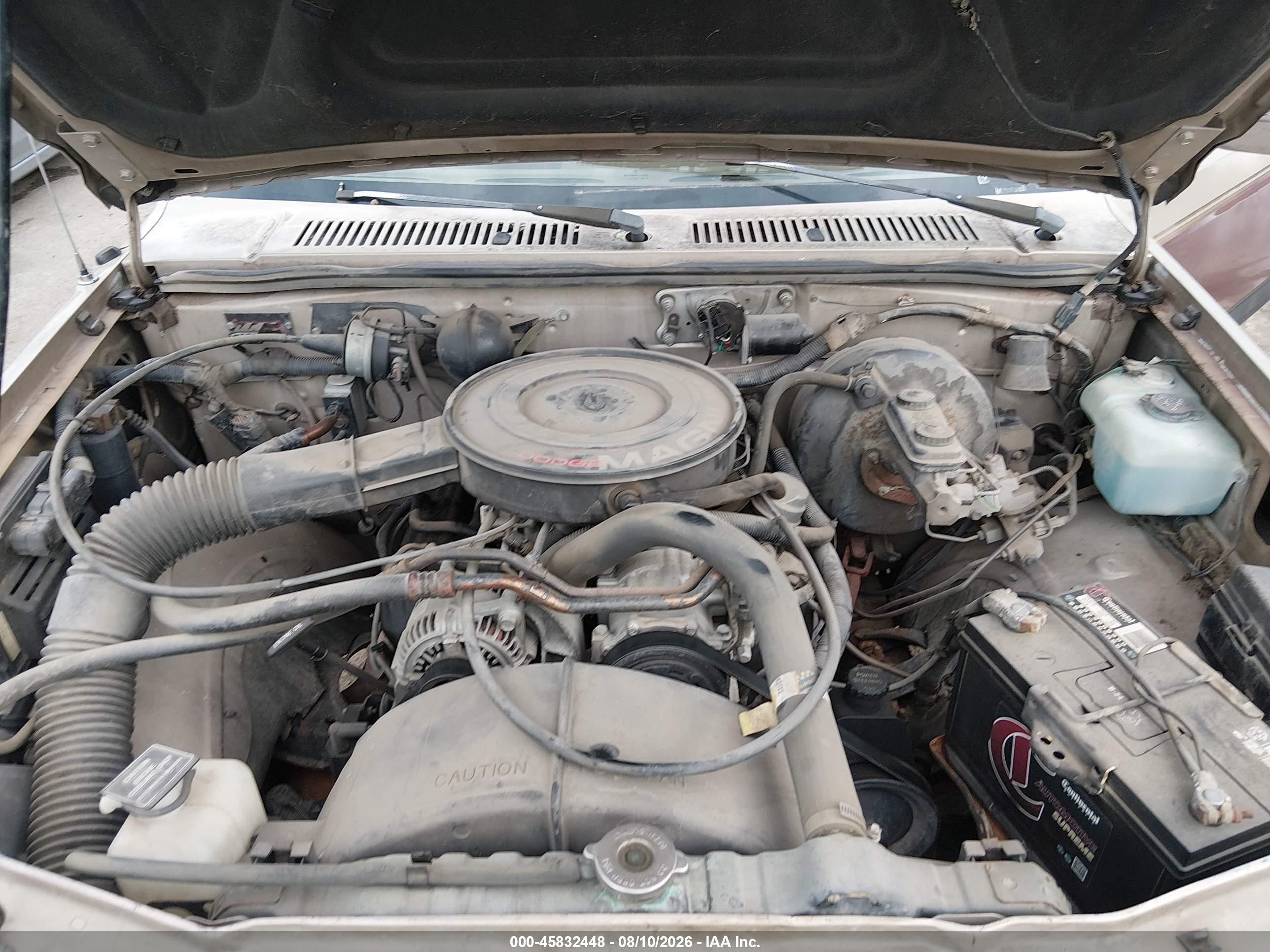 1993 Dodge Dakota Brown vin: 1B7GL23X7PS134108