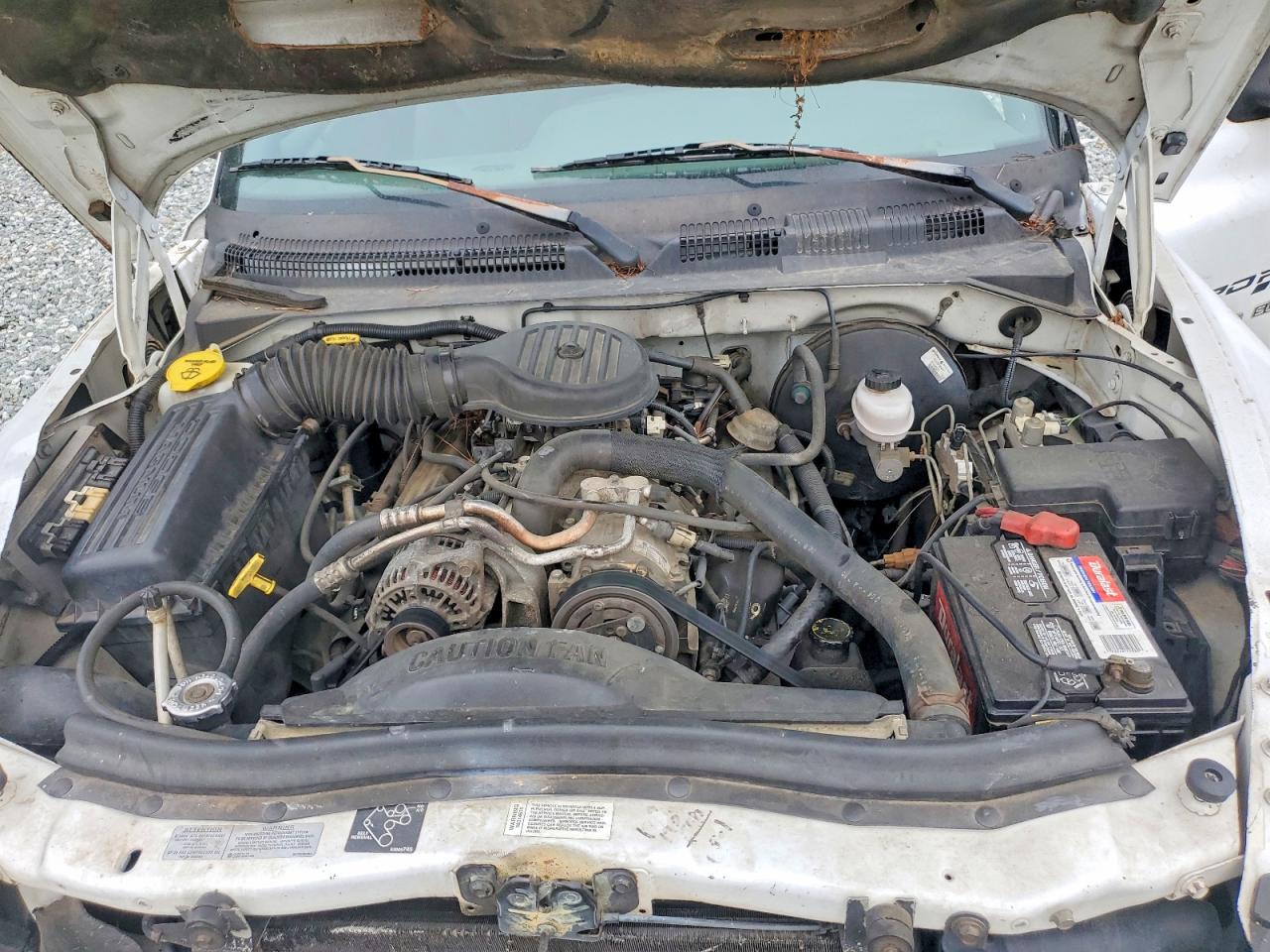 1997 Dodge Dakota White vin: 1B7GL23Y7VS204695
