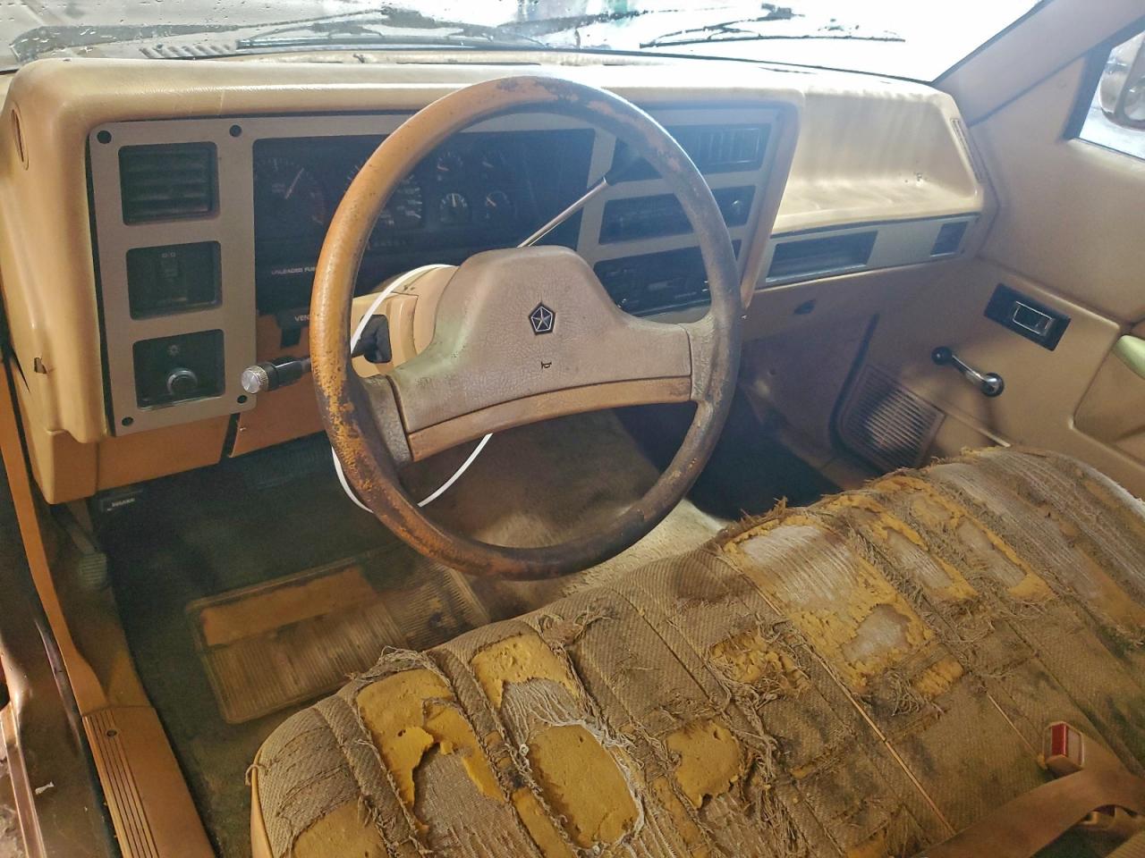 1989 Dodge Dakota Beige vin: 1B7GL26X0KS192985
