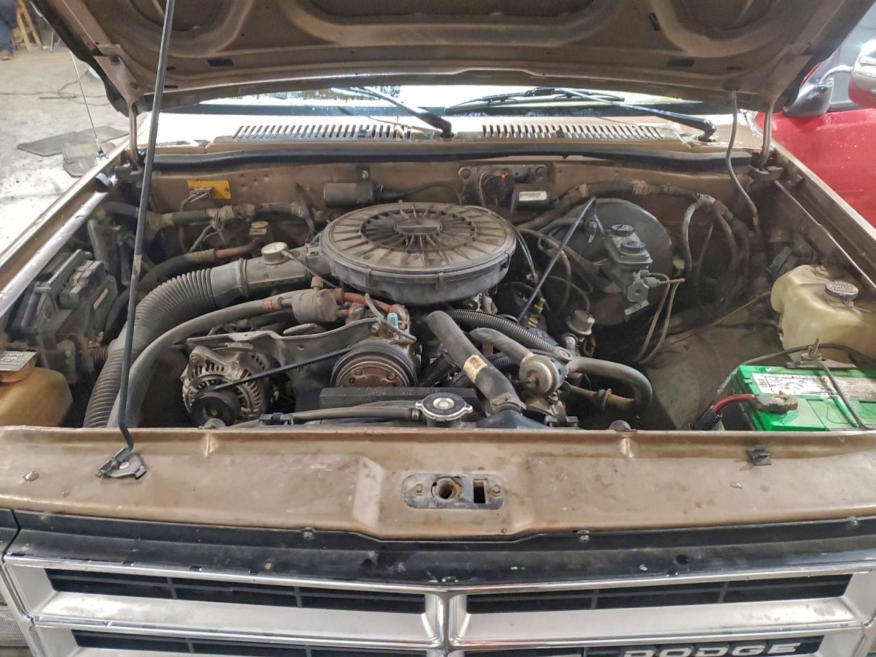1989 Dodge Dakota Beige vin: 1B7GL26X0KS192985