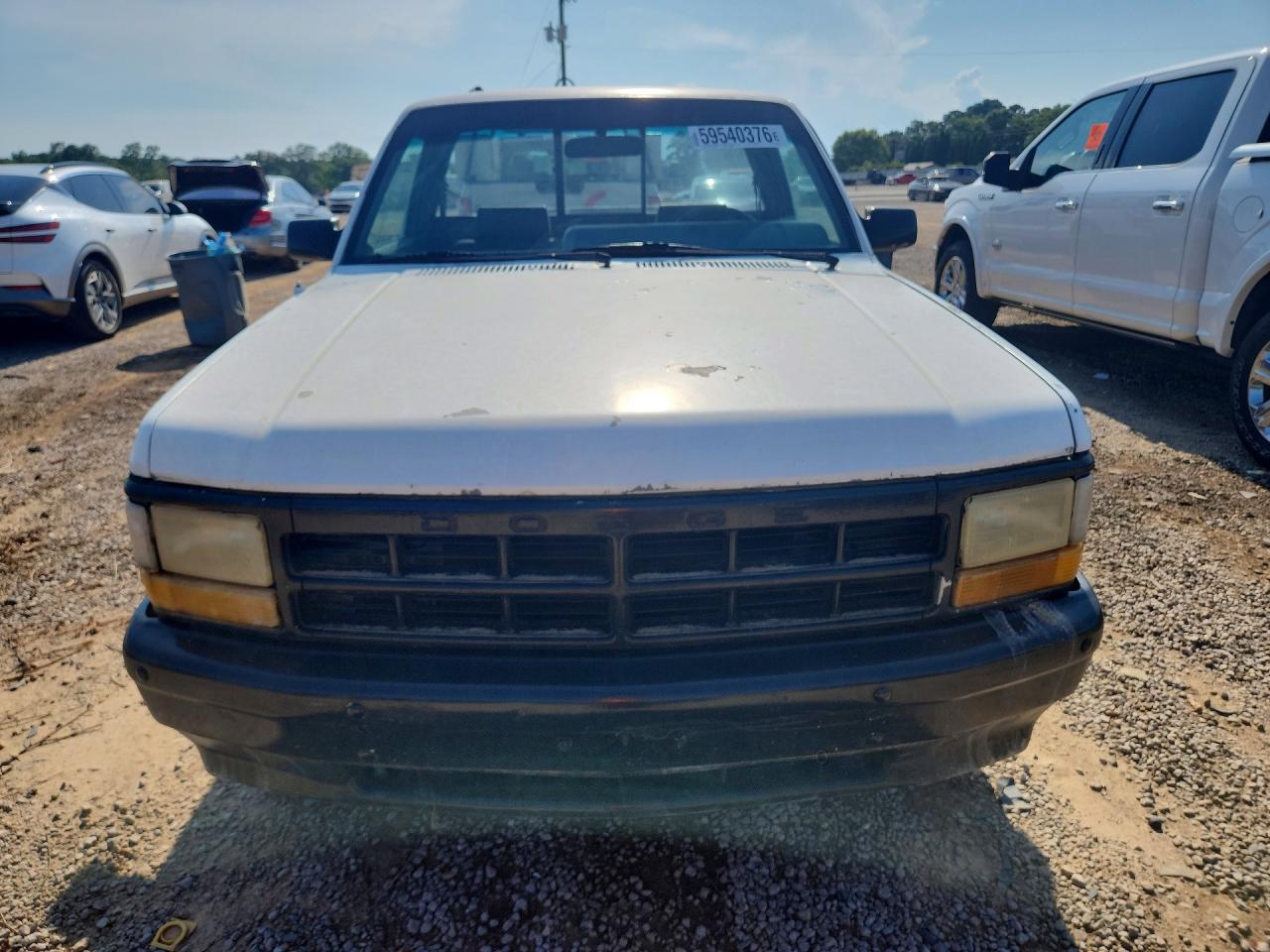 1996 Dodge Dakota White vin: 1B7GL26X5TS536618
