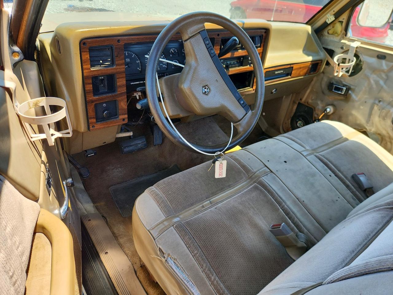 1991 Dodge Dakota Tan vin: 1B7GL26Y8MS254872