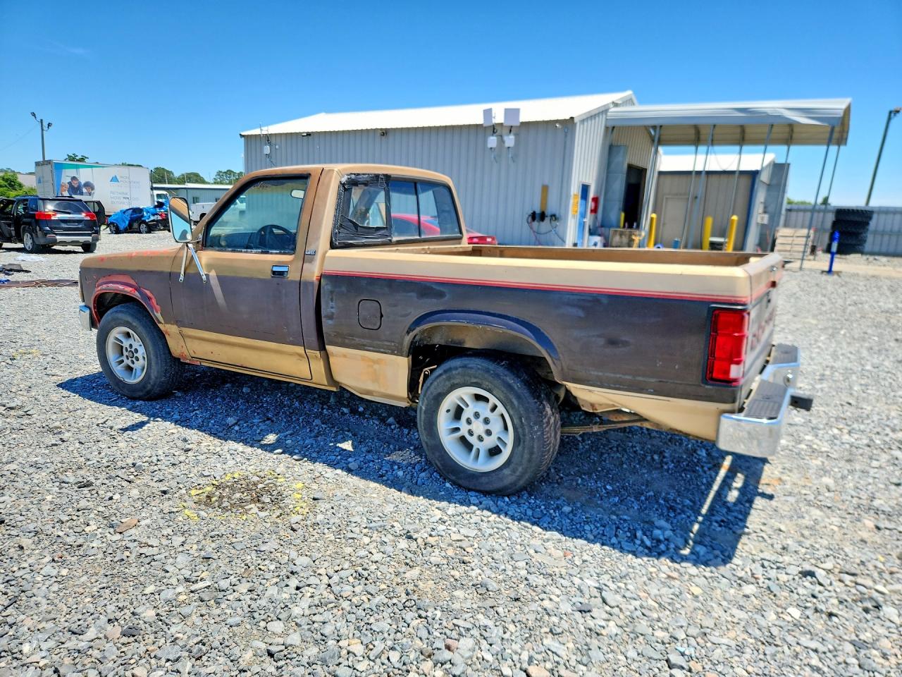 1991 Dodge Dakota Tan vin: 1B7GL26Y8MS254872