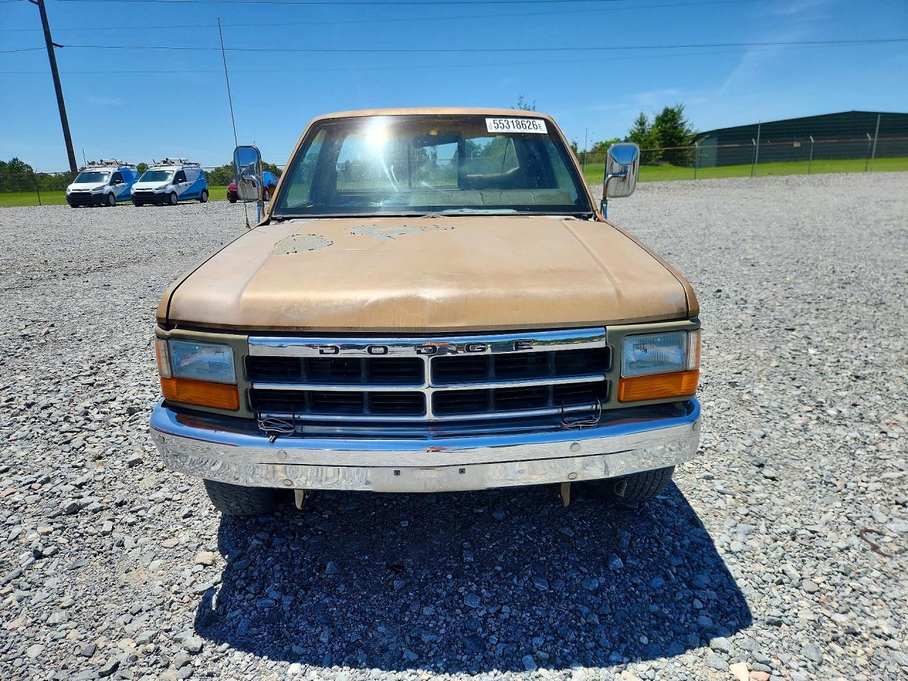 1991 Dodge Dakota Tan vin: 1B7GL26Y8MS254872