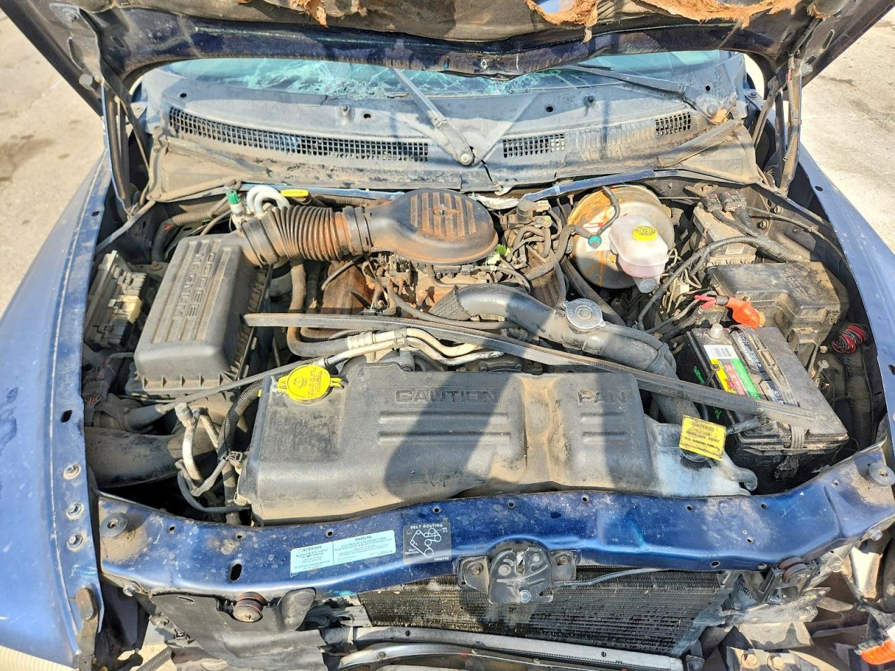 2000 Dodge Dakota Quad Blue vin: 1B7GL2AZ2YS682068