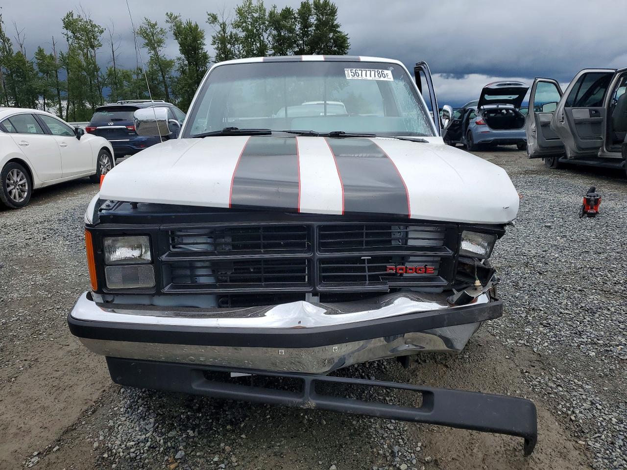 1988 Dodge Dakota White vin: 1B7GN14X0JS778303
