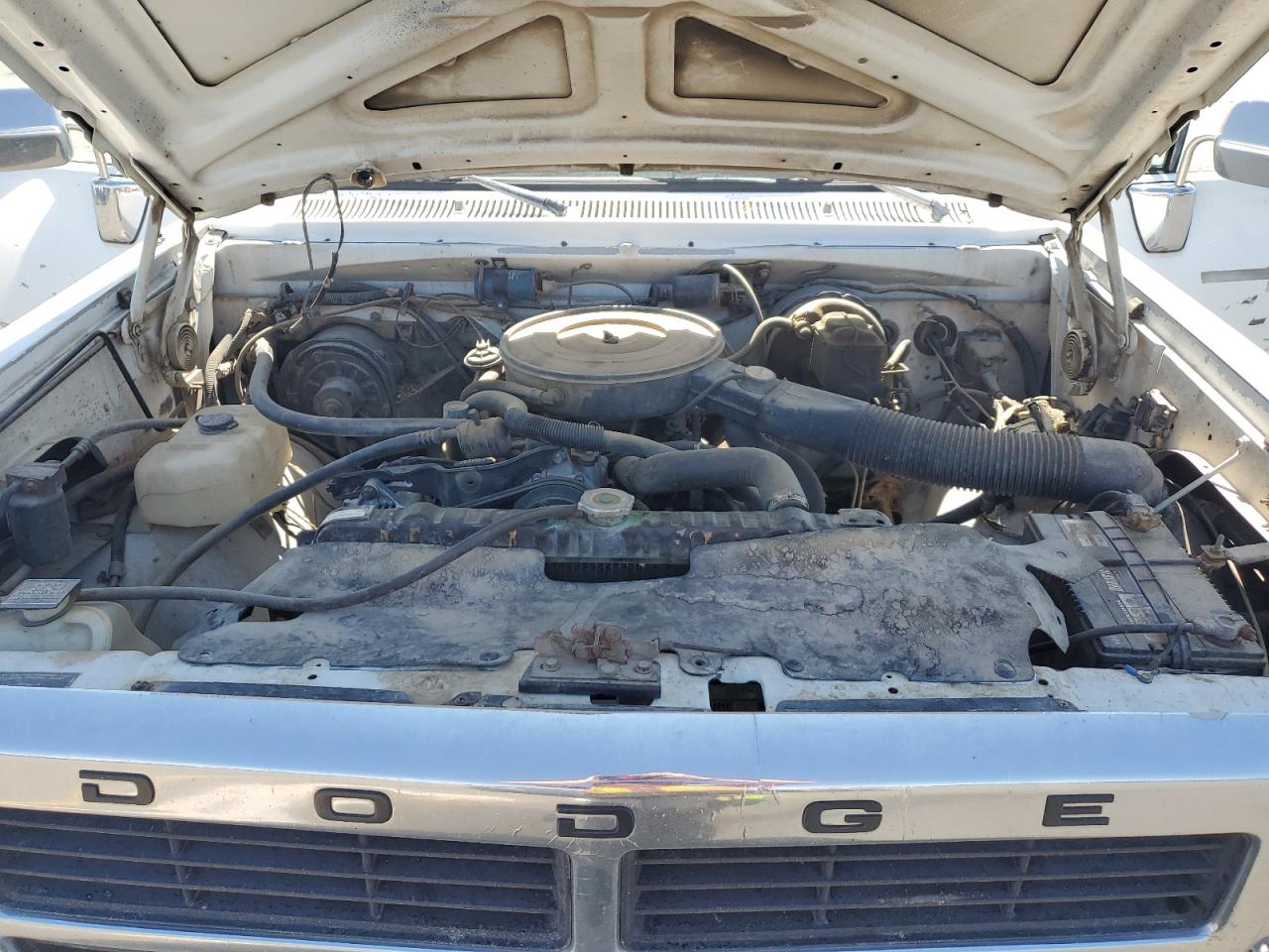 1992 Dodge W-series W200 Белый vin: 1B7JM26Z3NS643142