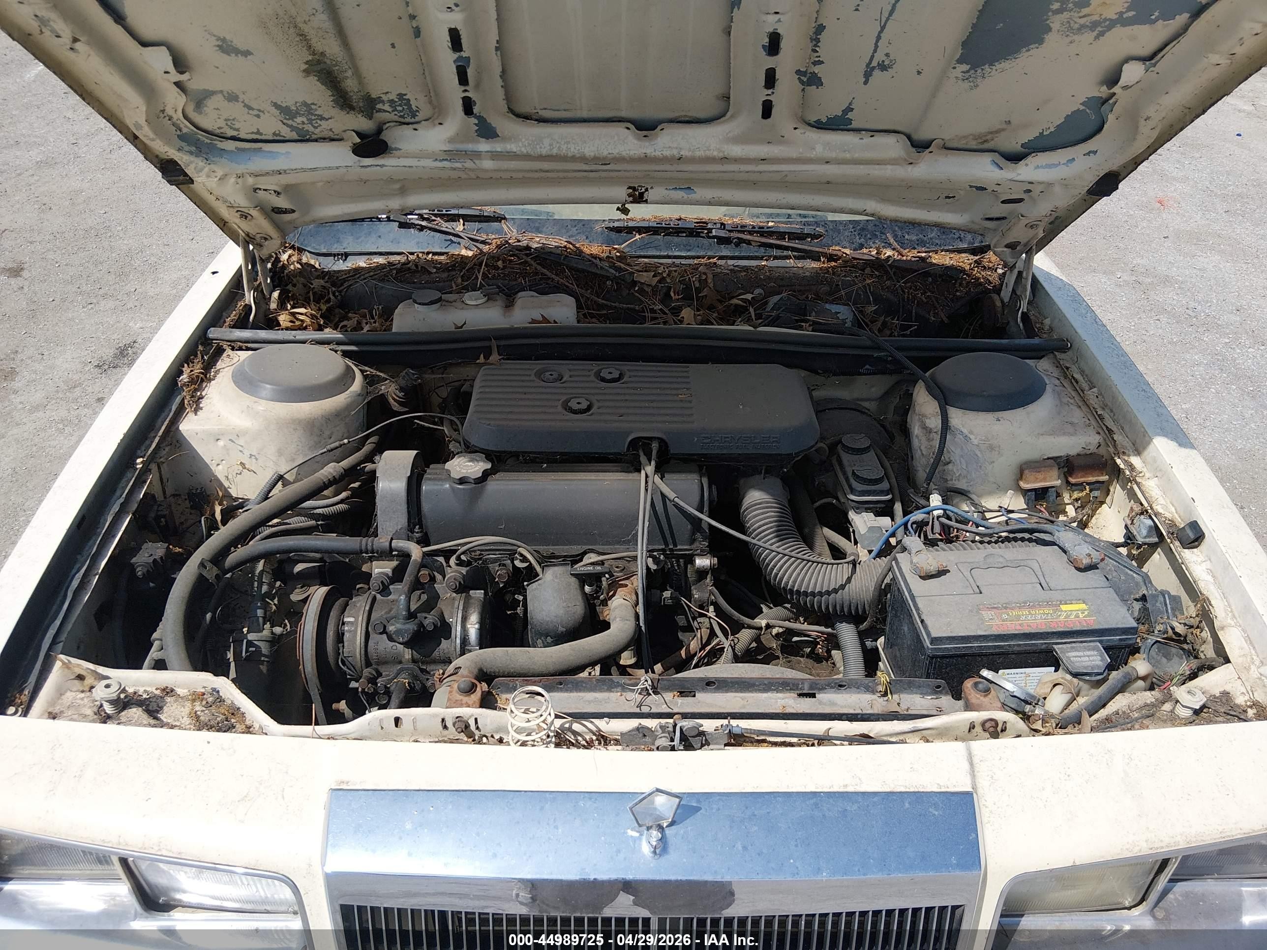 1986 Chrysler Lebaron   Beige vin: 1C3BC55D5GG227358