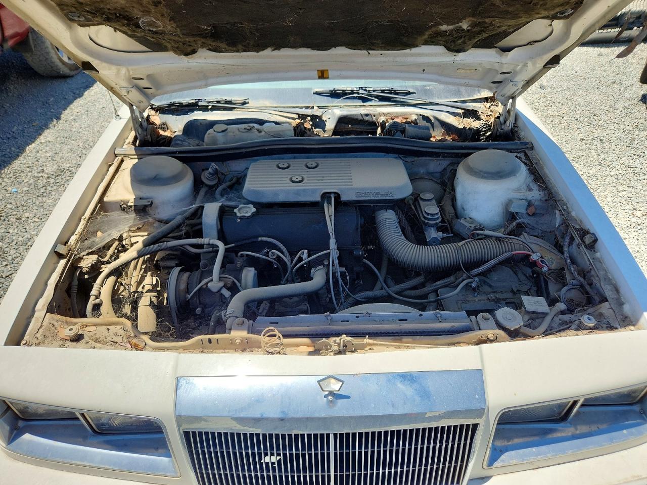 1987 Chrysler Lebaron Белый vin: 1C3BC56D7HF168495