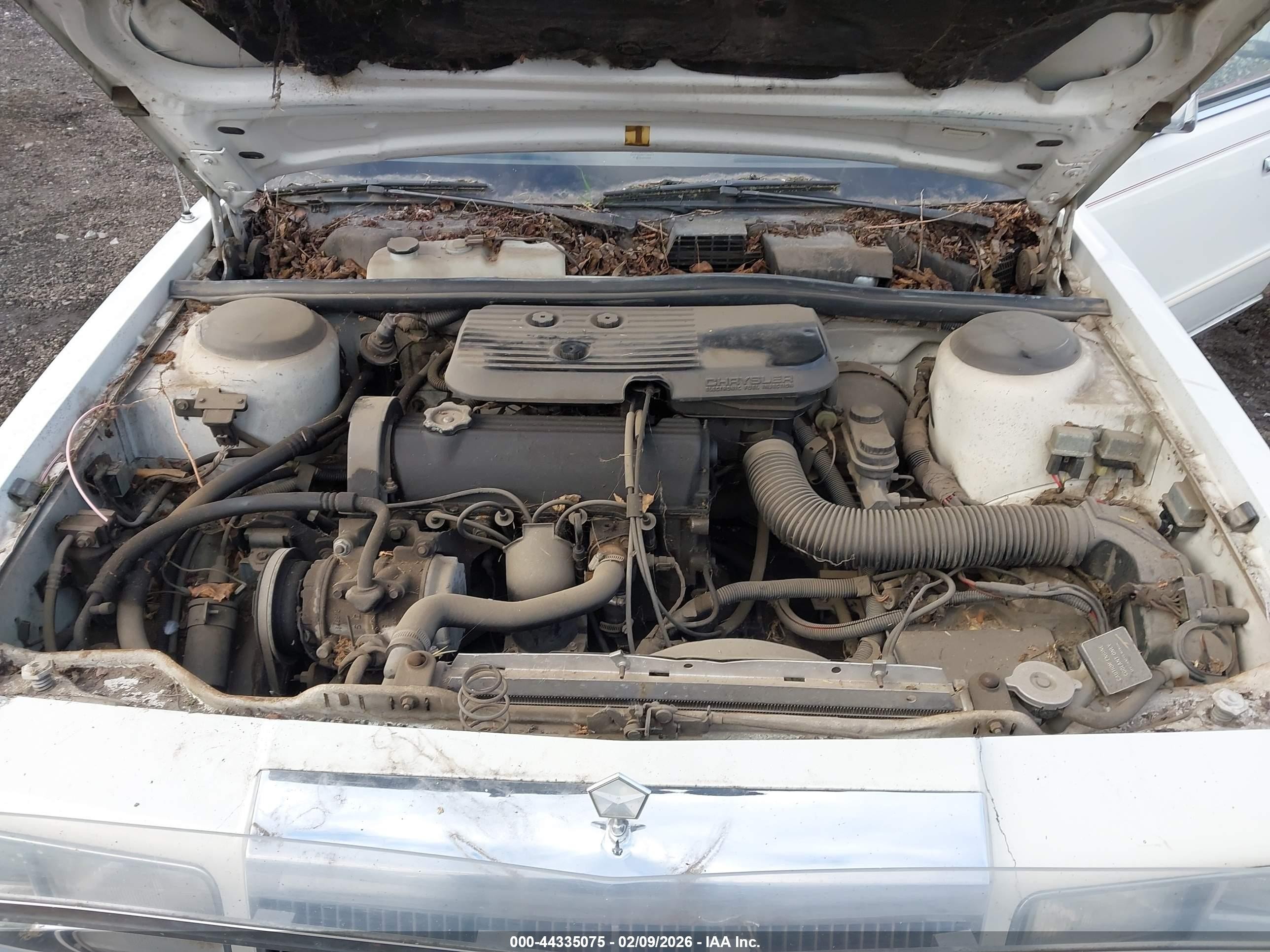 1987 Chrysler Lebaron   Белый vin: 1C3BC56K3HF309657