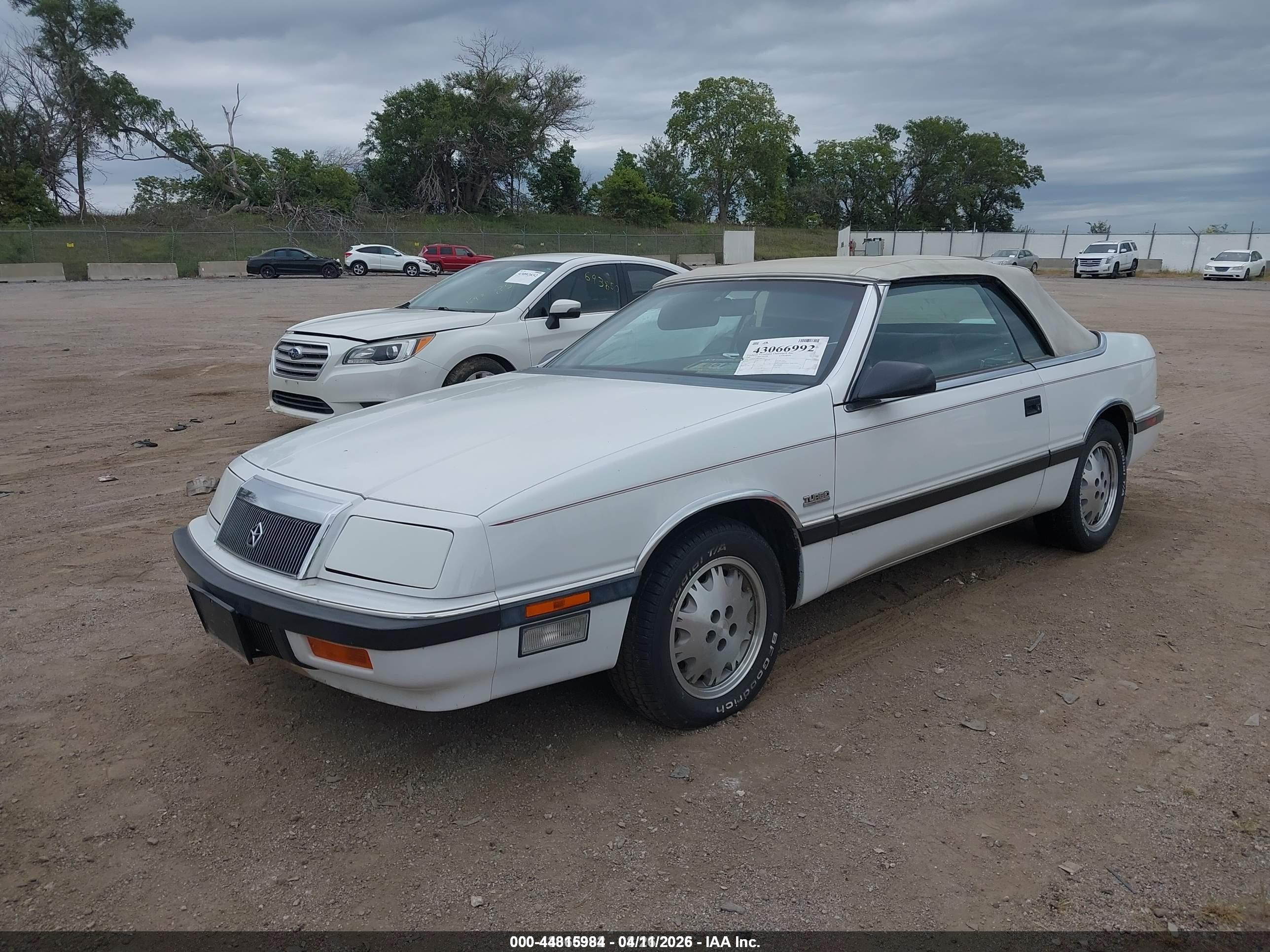 1988 Chrysler Lebaron Premium White vin: 1C3BJ55E8JG306772