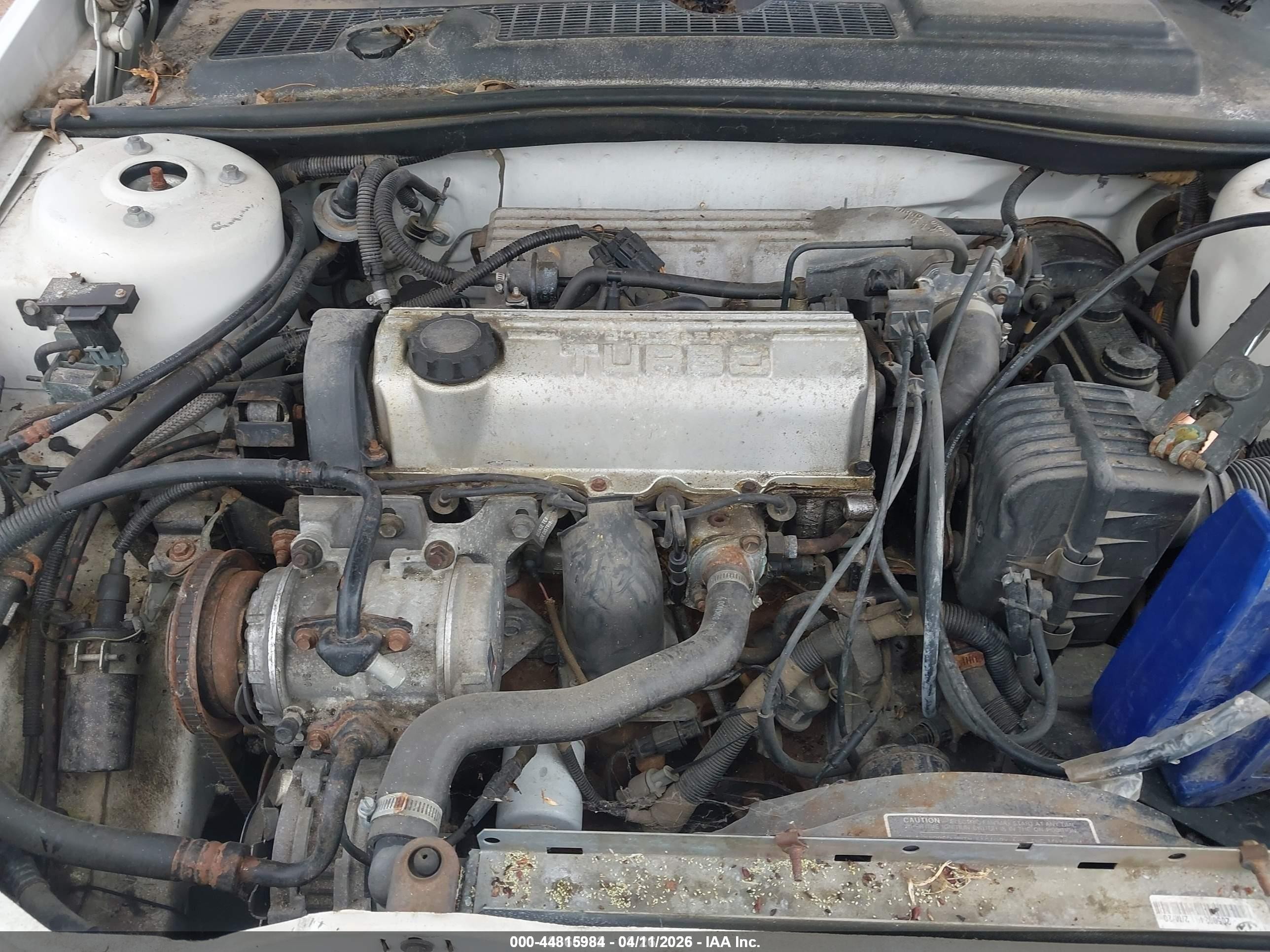 1988 Chrysler Lebaron Premium White vin: 1C3BJ55E8JG306772