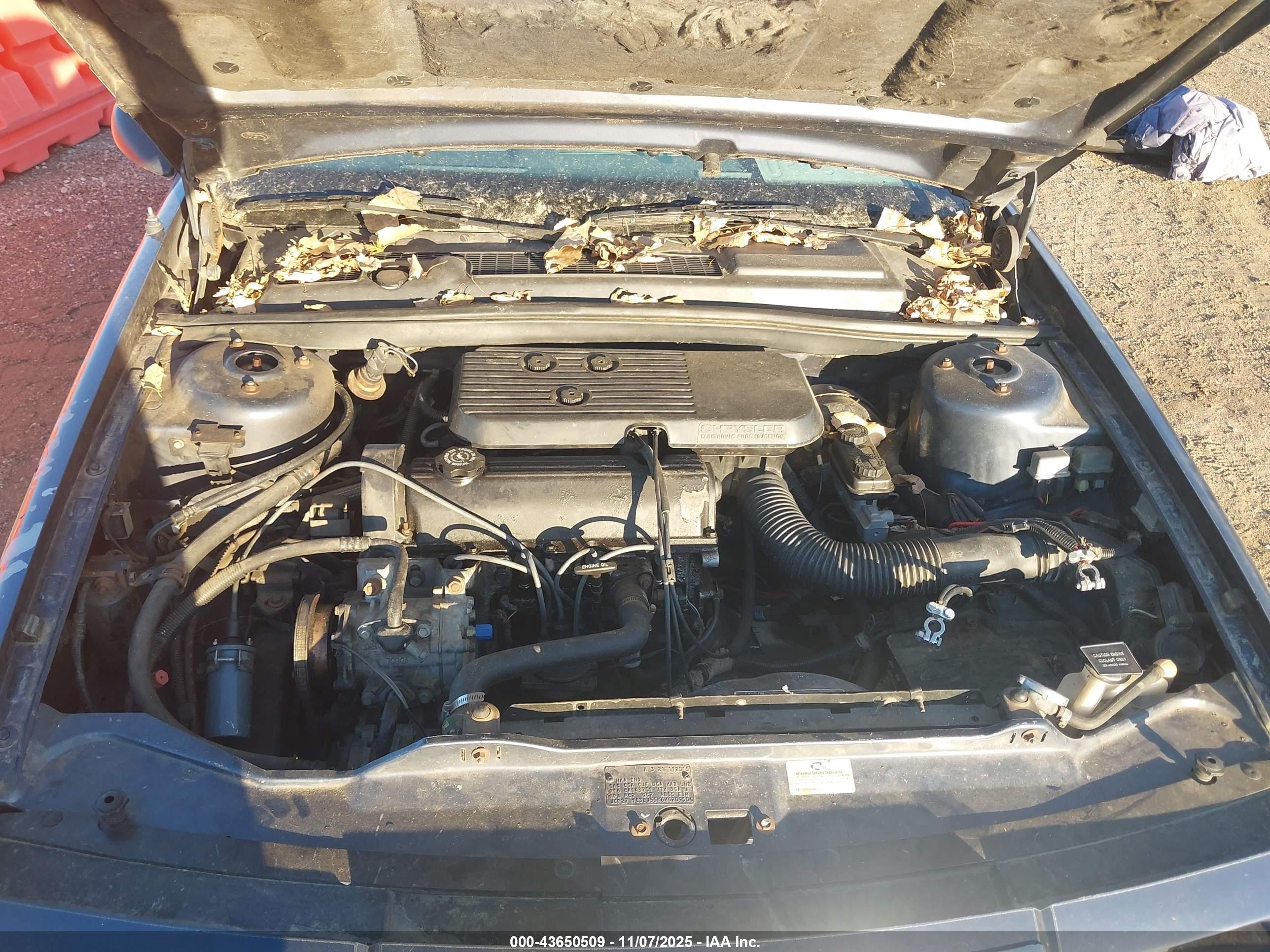 1987 Chrysler Lebaron Premium Синий vin: 1C3BJ55K6HG209506