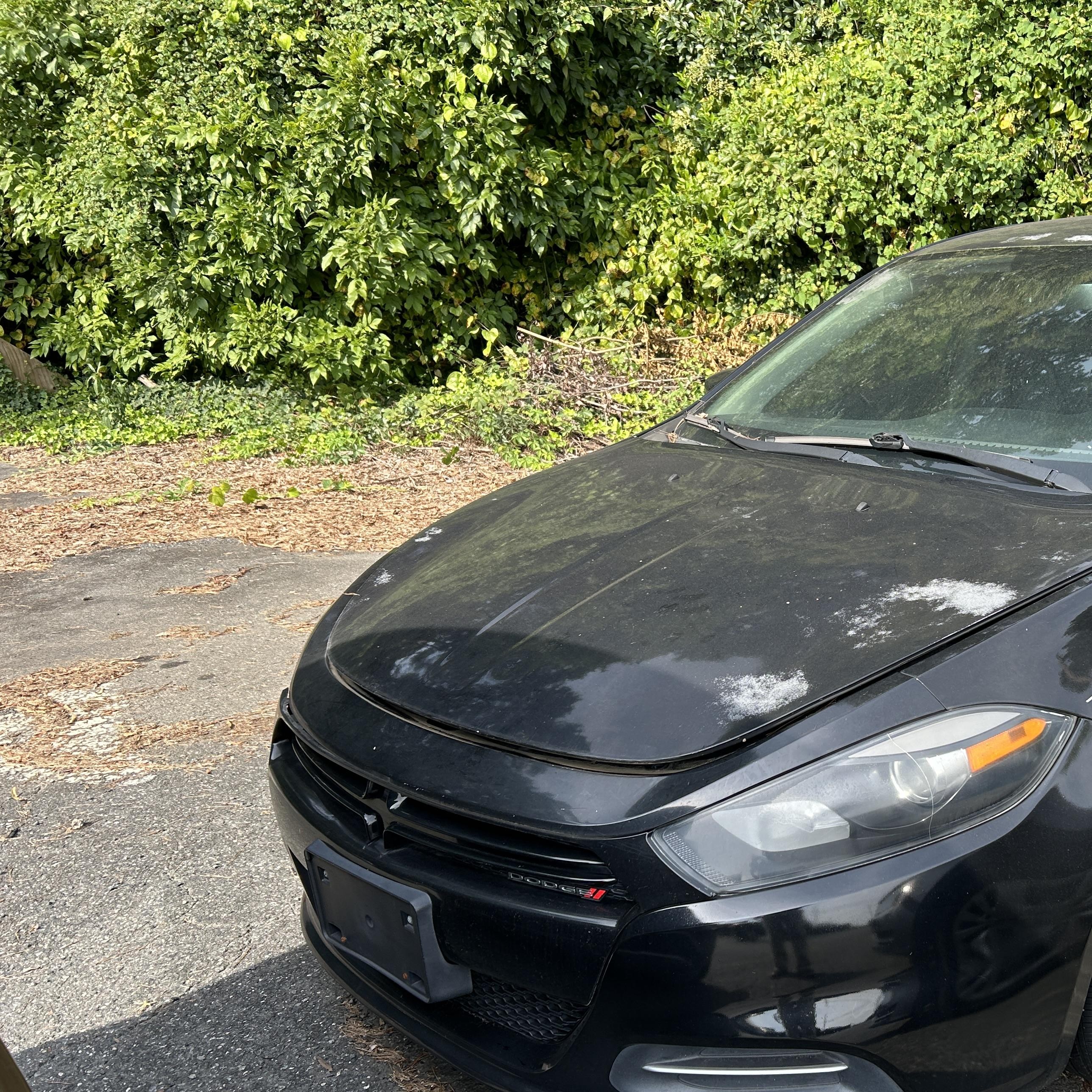 2014 Dodge Dart Aero vin: 1C3CDFDH1ED703065