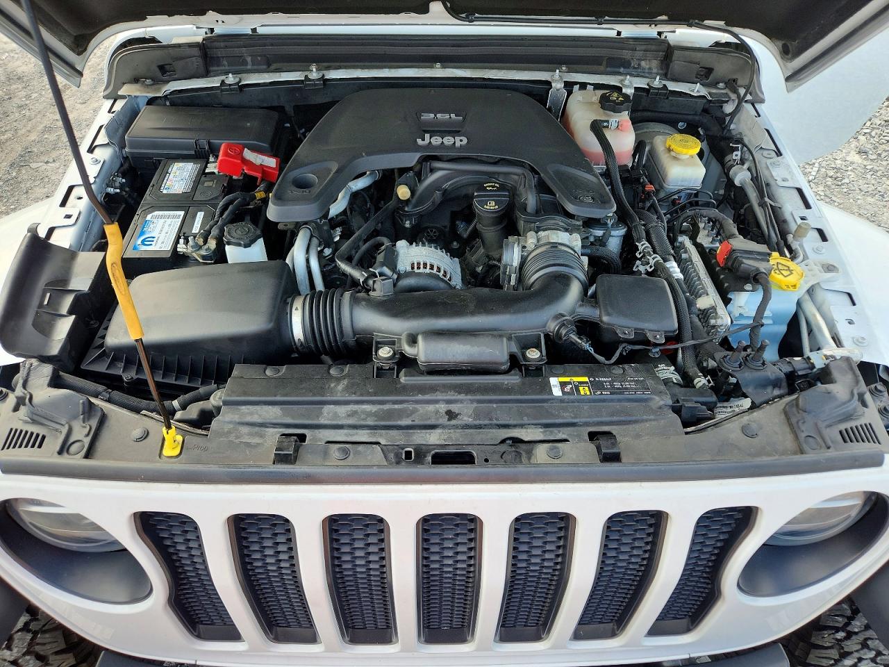 2019 Jeep Wrangler Unlimited Sahara White vin: 1C4HJXEG1KW642242