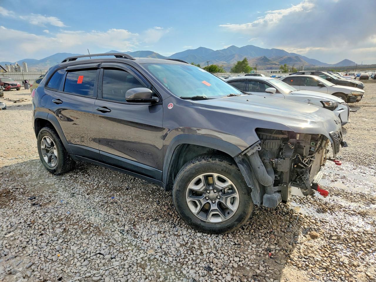 2019 Jeep Cherokee Trailhawk Gray vin: 1C4PJMBX3KD106757