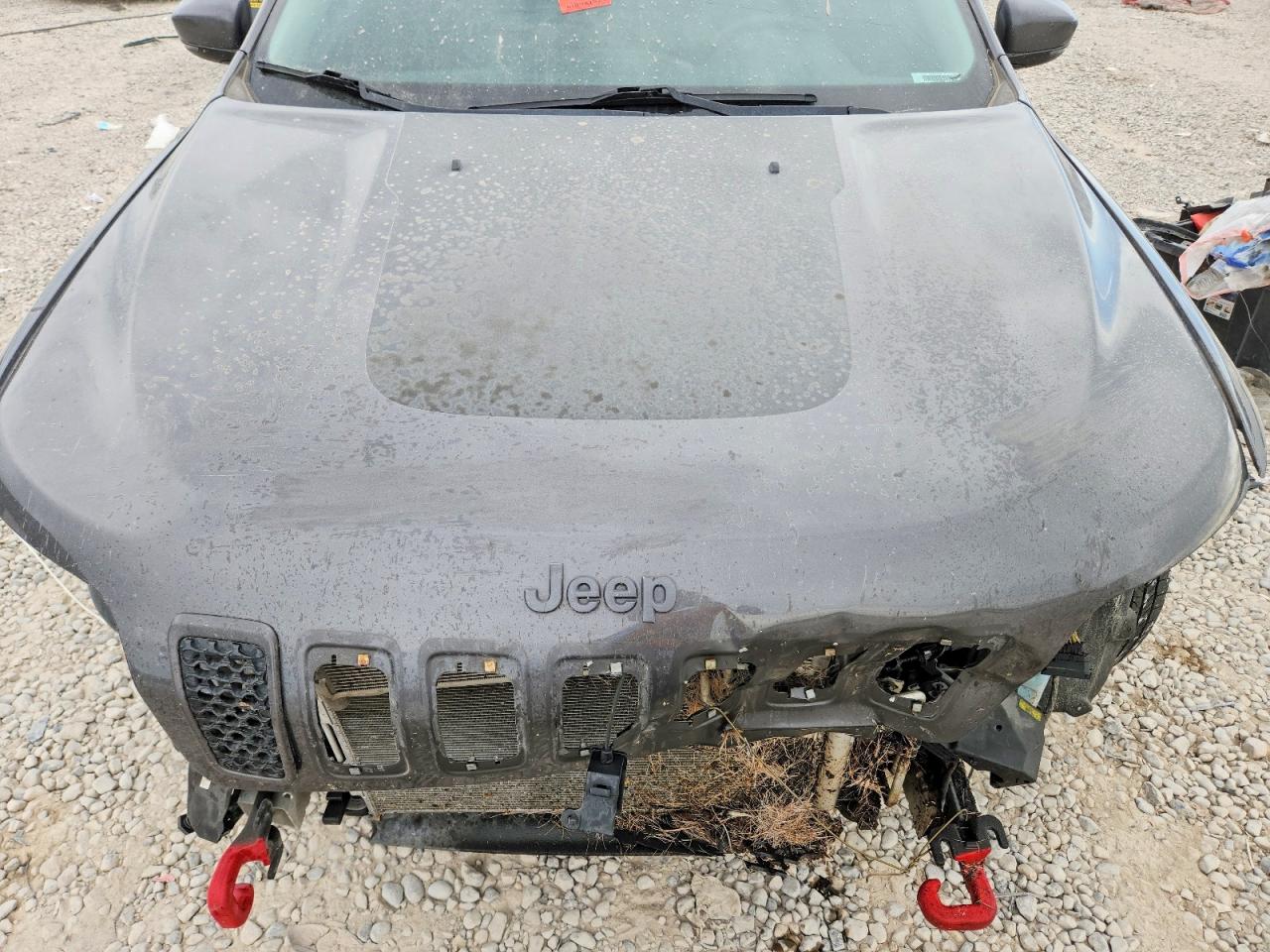 2019 Jeep Cherokee Trailhawk Gray vin: 1C4PJMBX3KD106757
