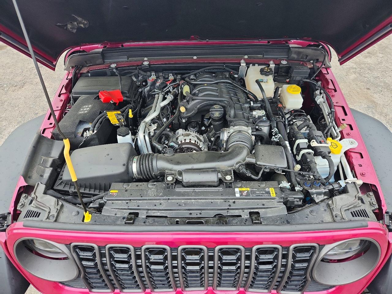 2024 Jeep Wrangler Sport Pink vin: 1C4PJXDG6RW354126