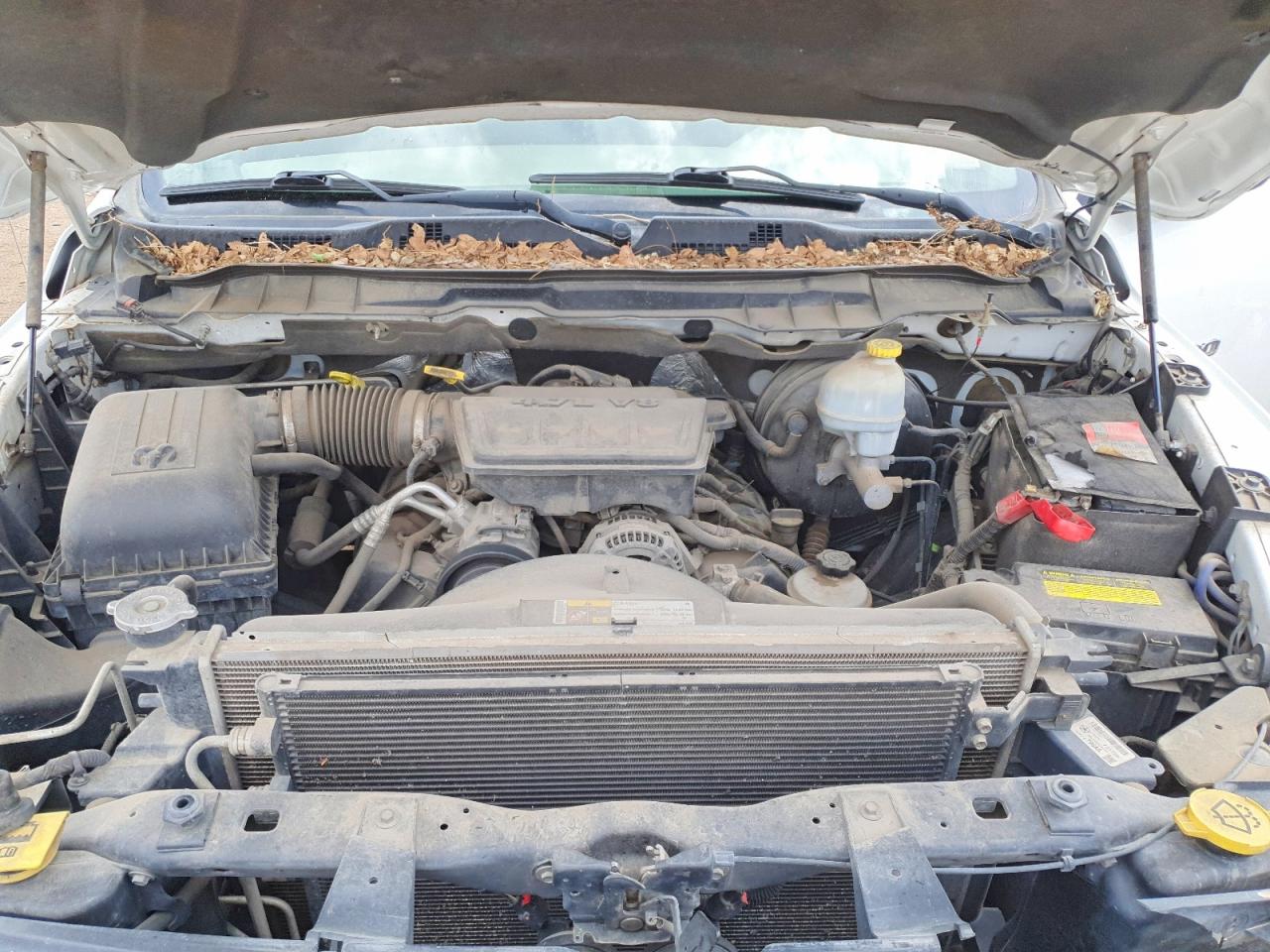 2012 Dodge 1500 Ram V Белый vin: 1C6RD7FP9CS249566
