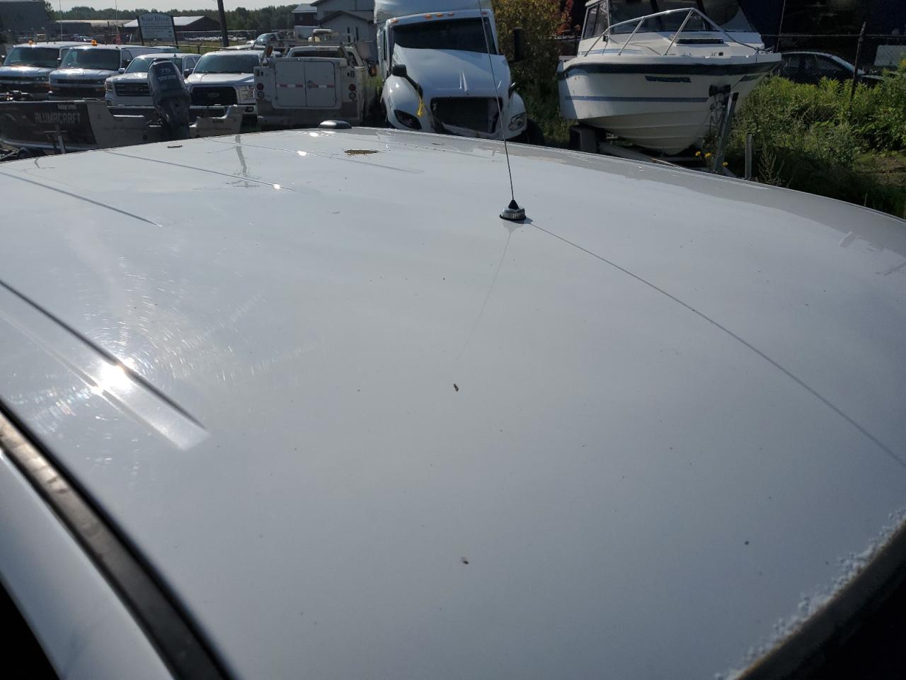 2013 Ram 1500 St Белый vin: 1C6RR7KP2DS632192 Damage: Roof, Corrosion, > 12 Inches