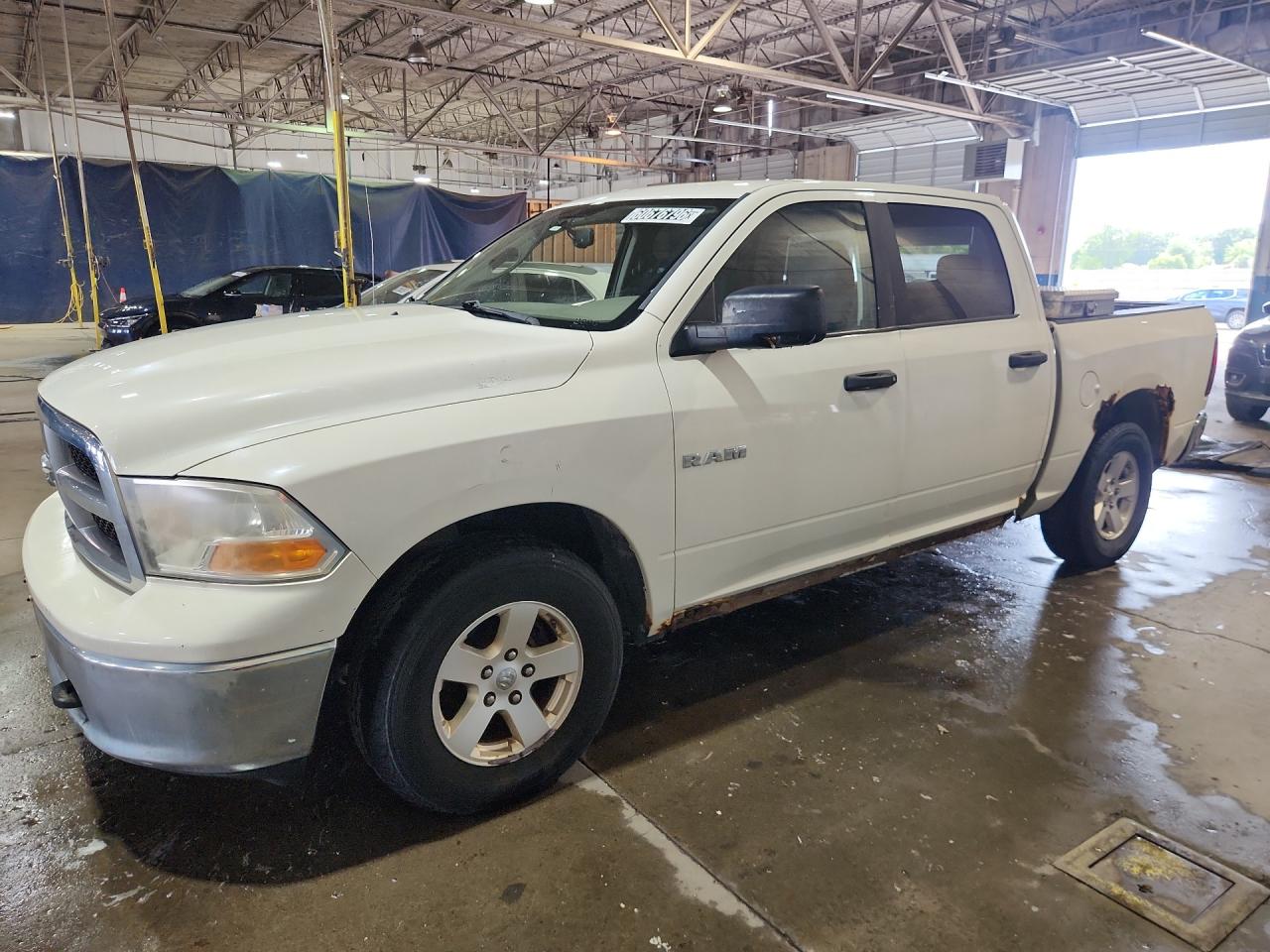 2009 Dodge Ram 1500 Slt White vin: 1D3HV13P99S742022 Damage: Left Front Fender, Rust, Severe Damage