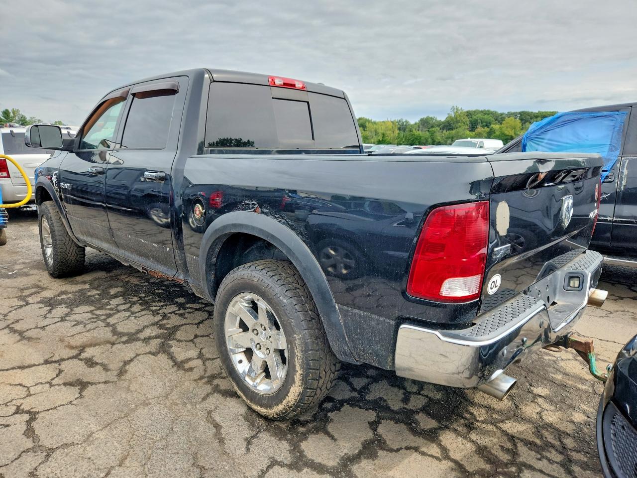 2009 Dodge Ram 1500 Черный vin: 1D3HV13T09S717541