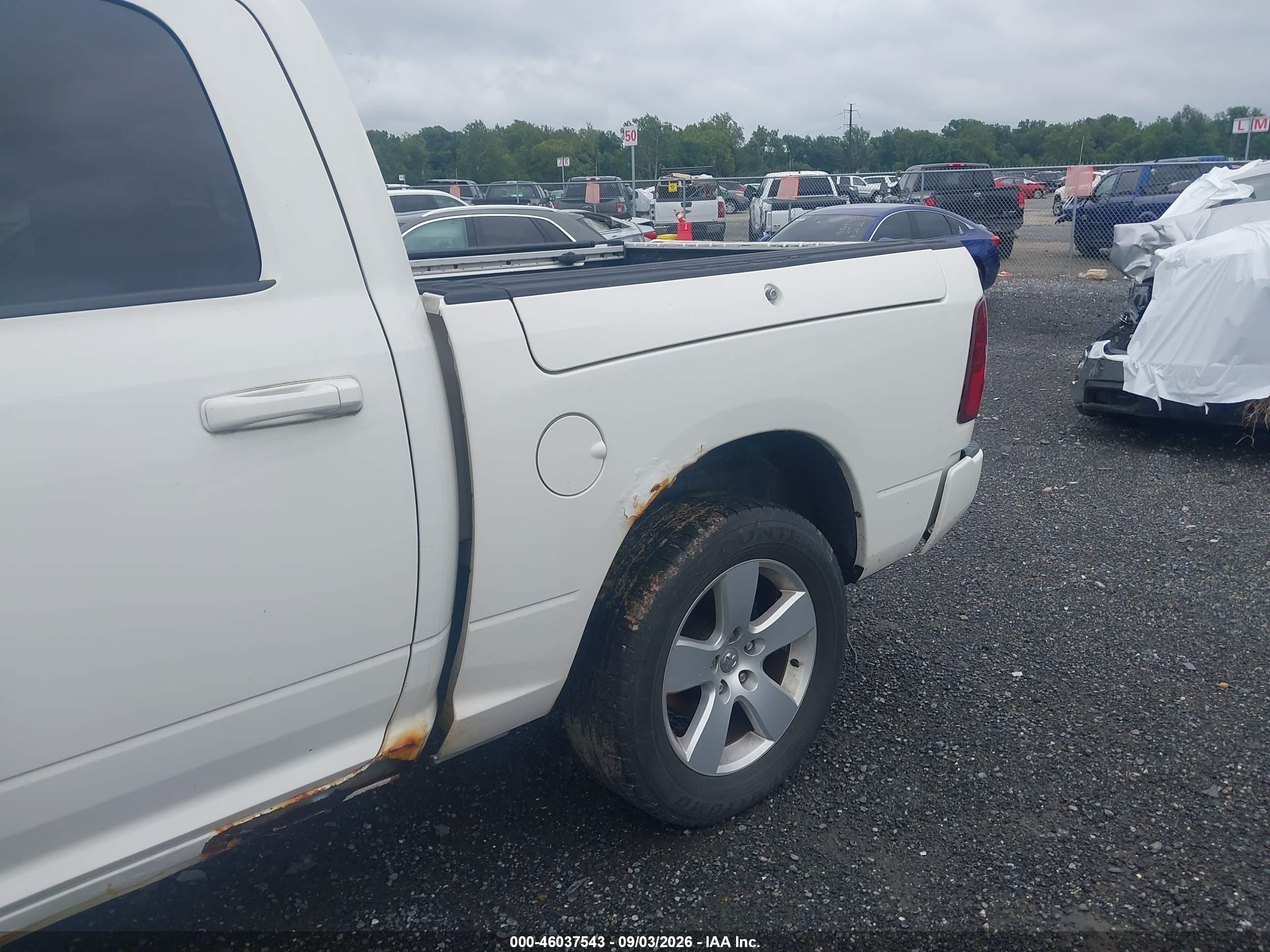 2009 Dodge Ram 1500 Slt/sport/trx Белый vin: 1D3HV13T29J515953